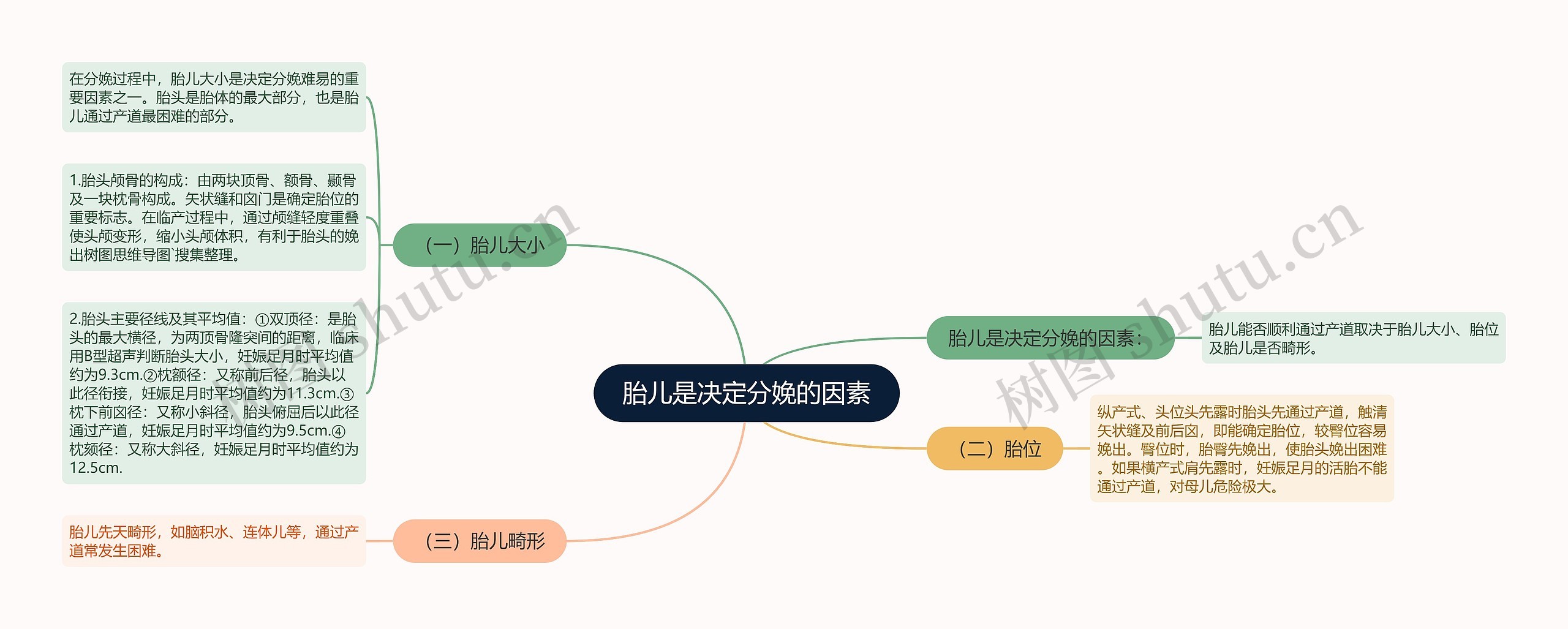 胎儿是决定分娩的因素思维导图