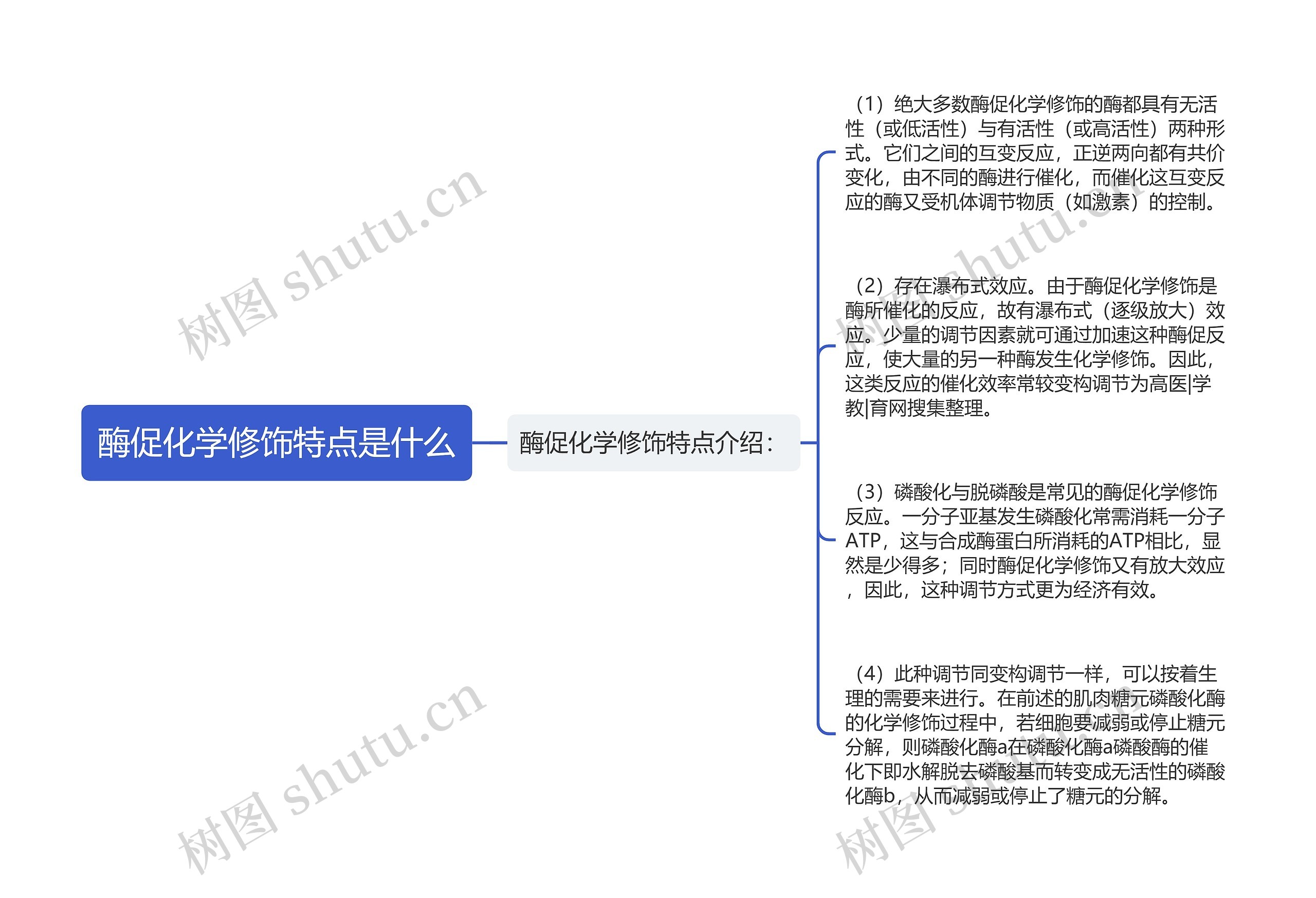 酶促化学修饰特点是什么思维导图