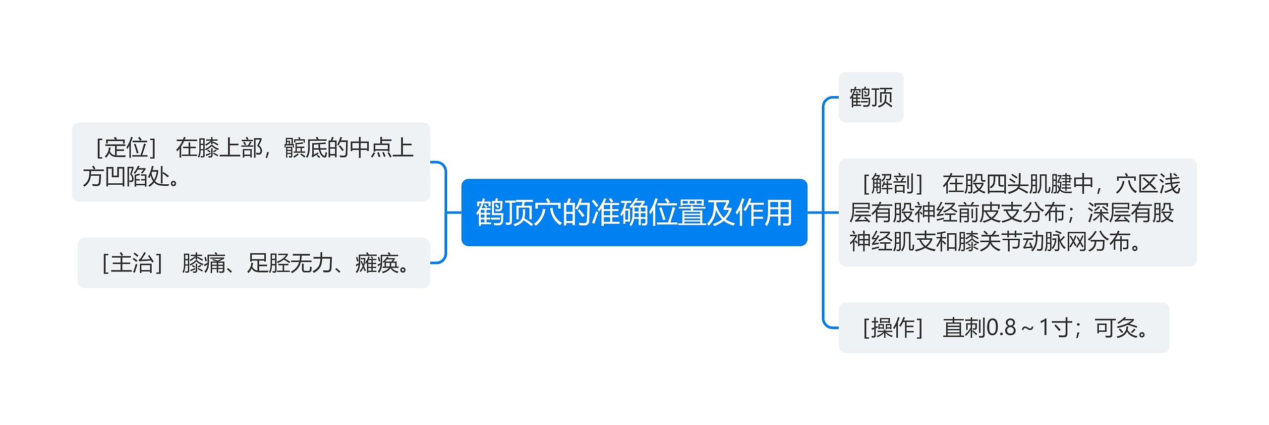 鹤顶穴的准确位置及作用思维导图