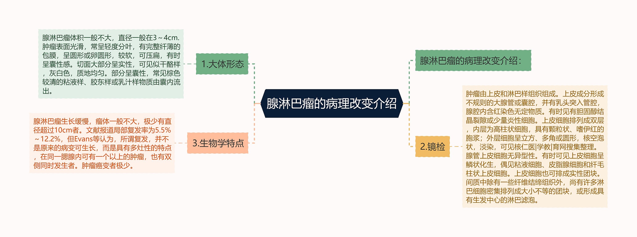 腺淋巴瘤的病理改变介绍思维导图