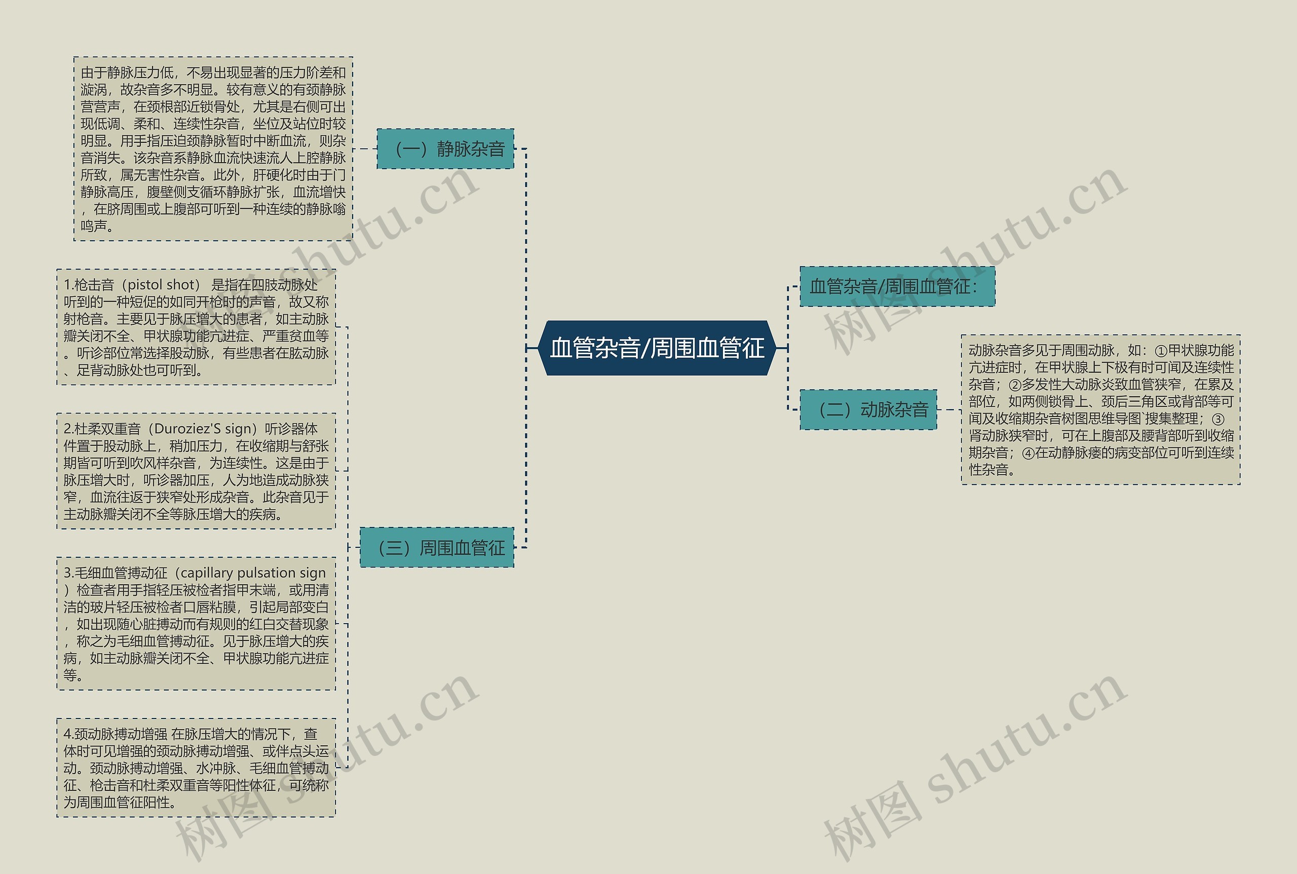 血管杂音/周围血管征