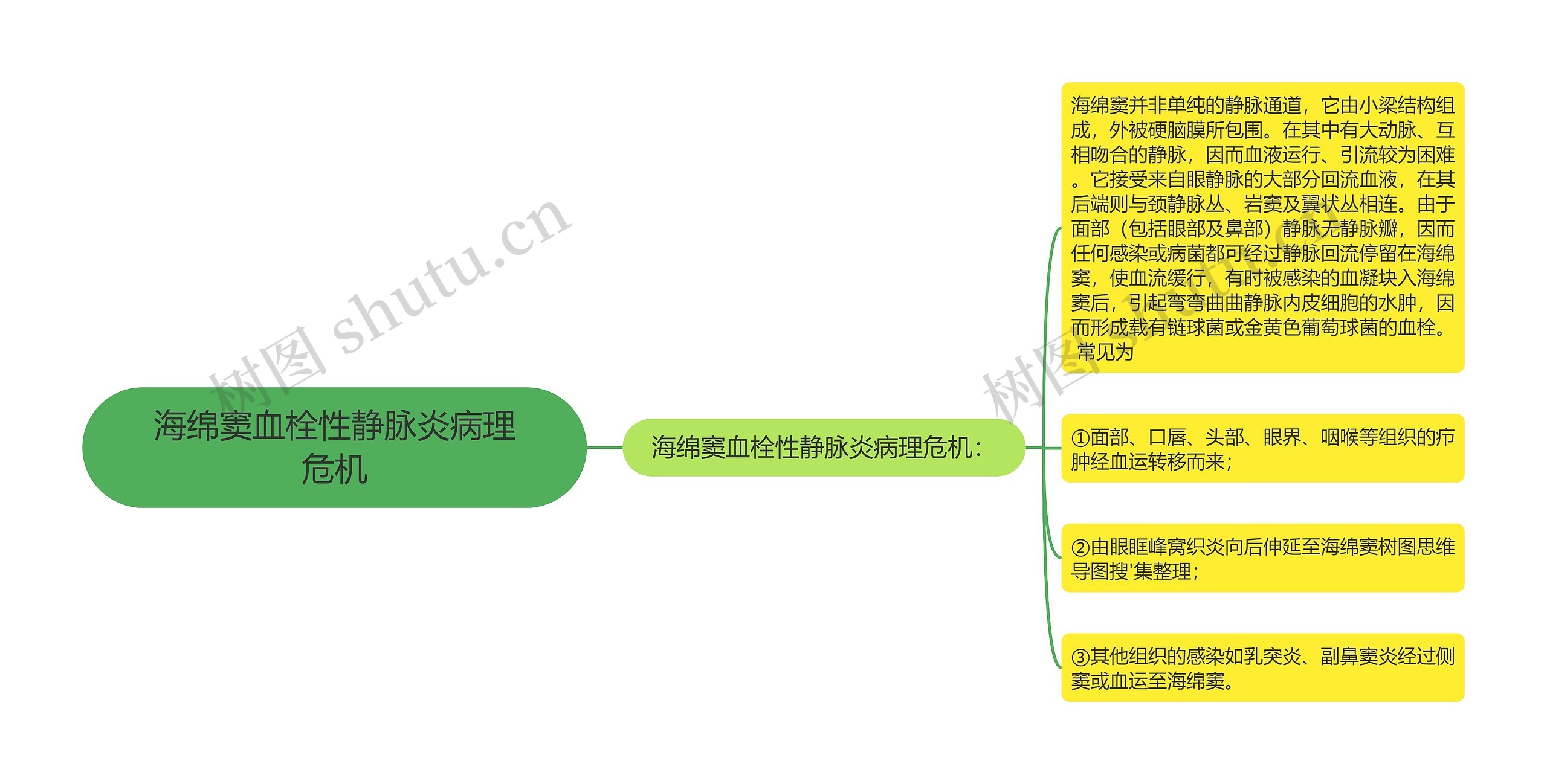 海绵窦血栓性静脉炎病理危机