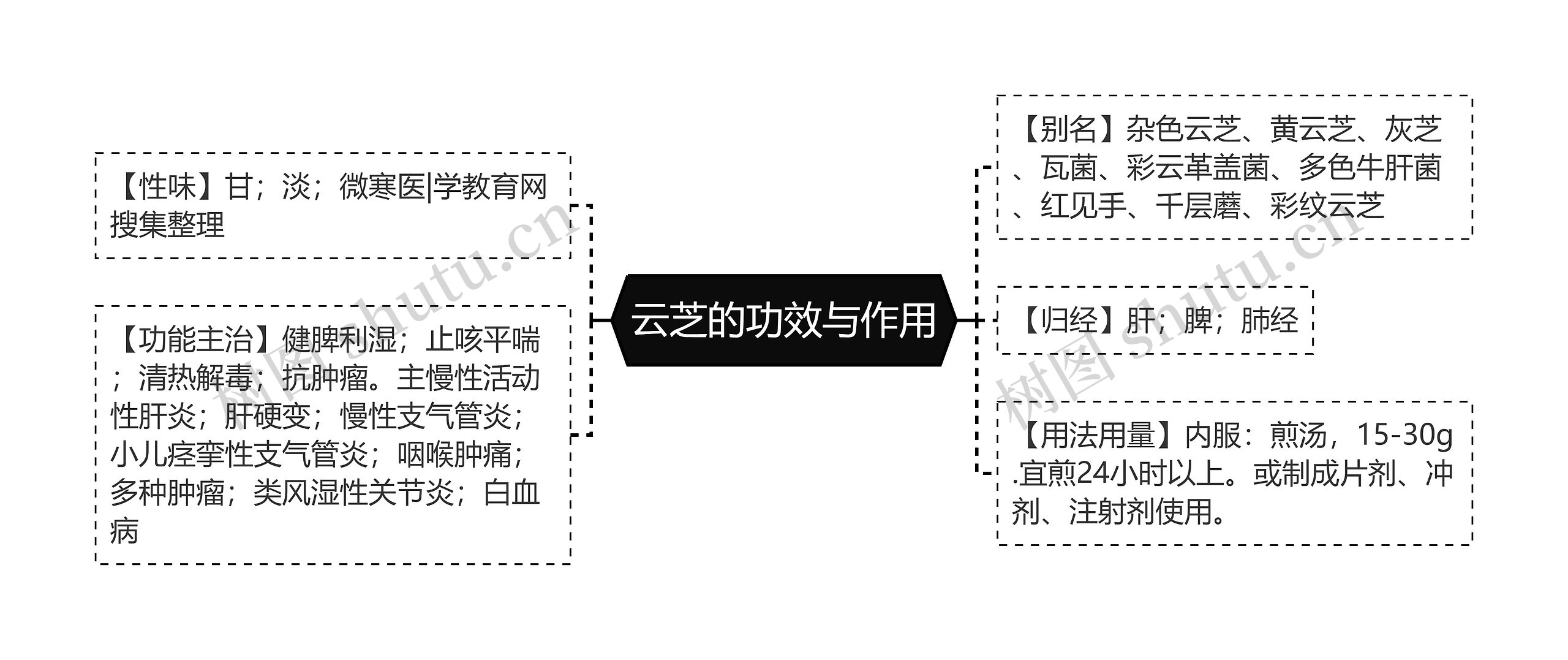 云芝的功效与作用