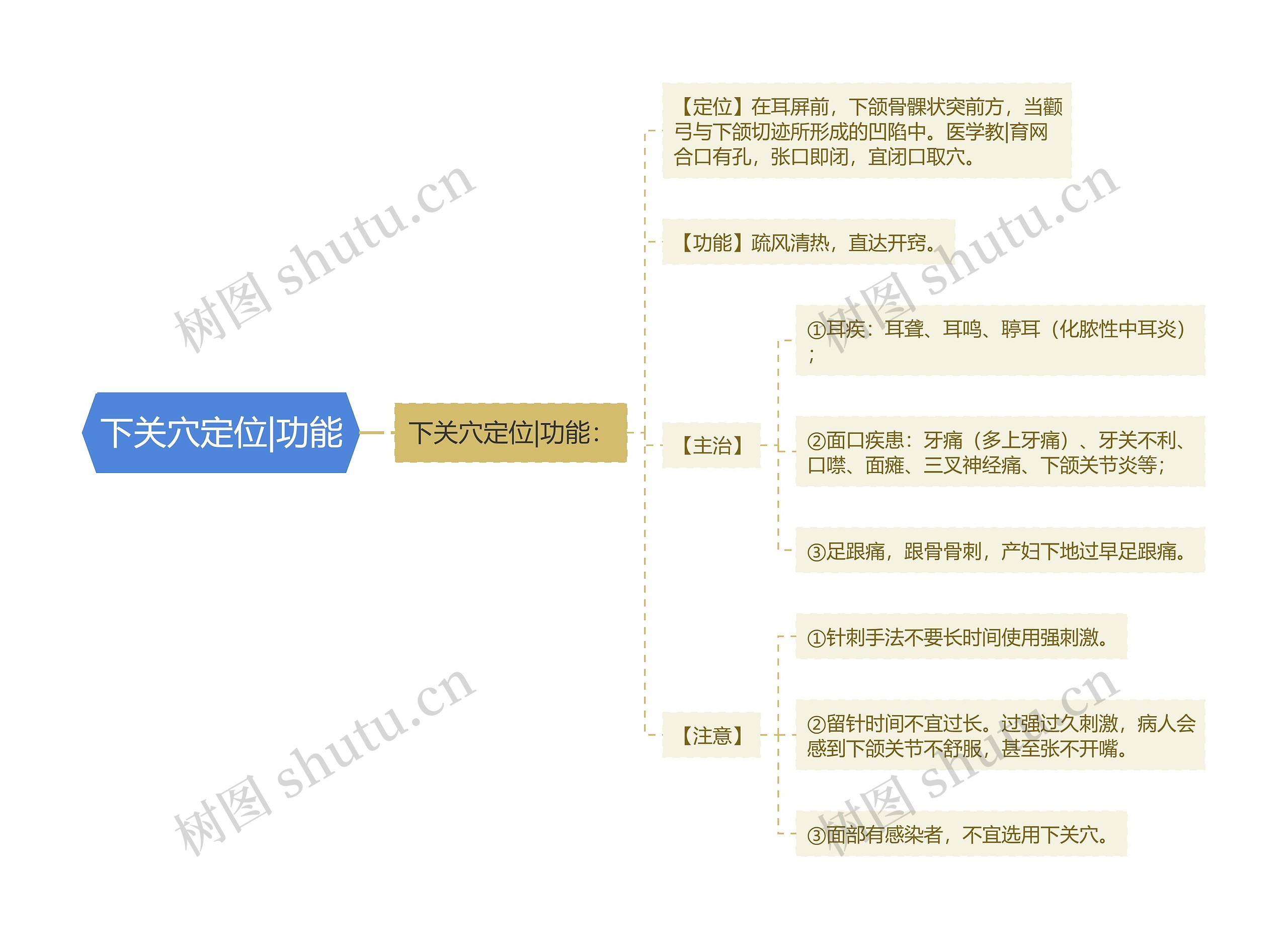 下关穴定位|功能思维导图