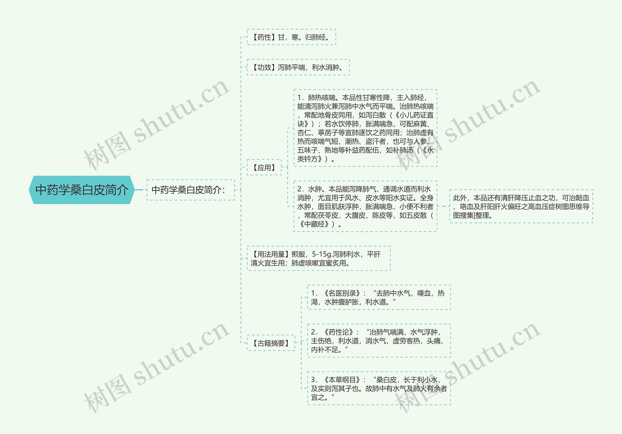 中药学桑白皮简介思维导图