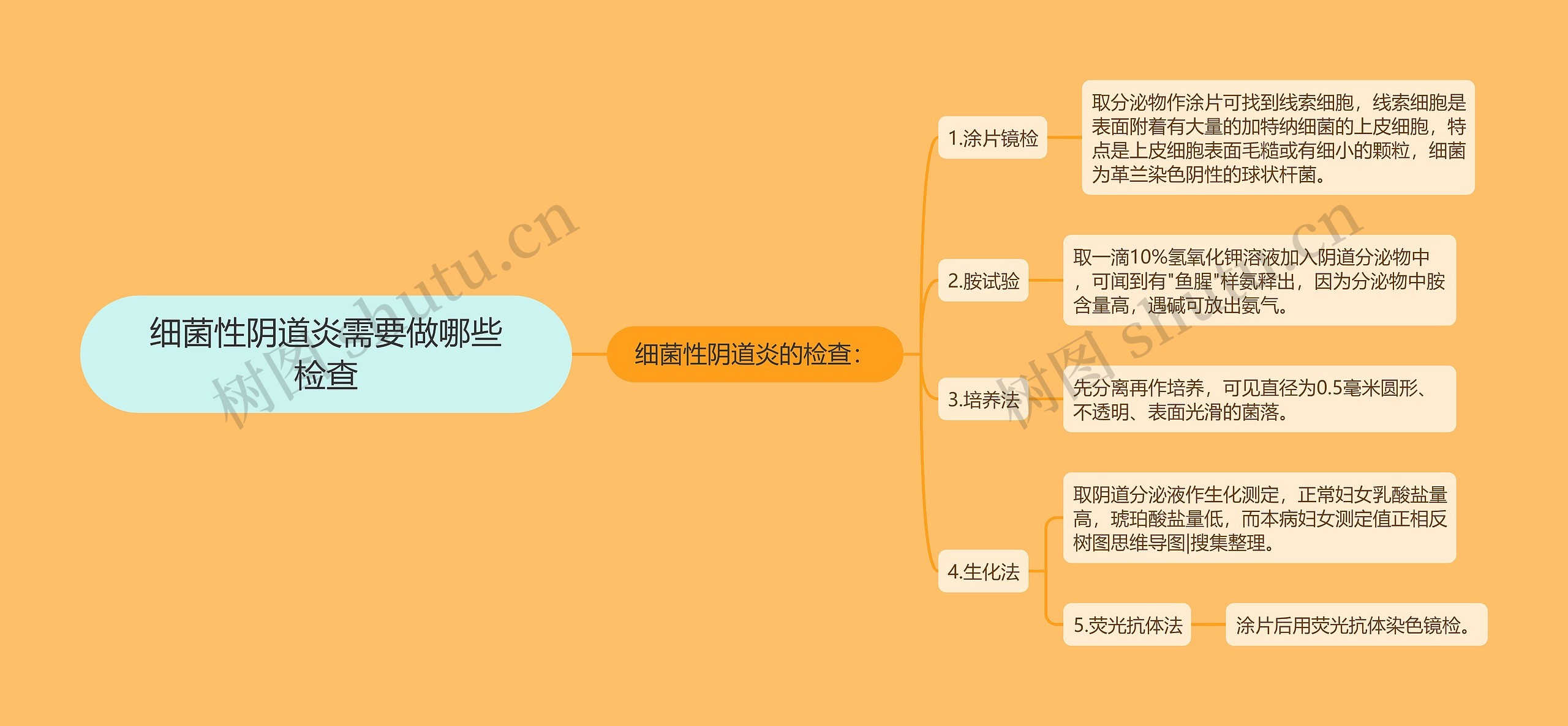 细菌性阴道炎需要做哪些检查思维导图