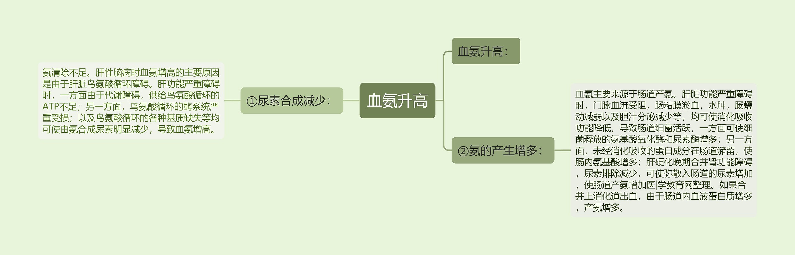 血氨升高思维导图