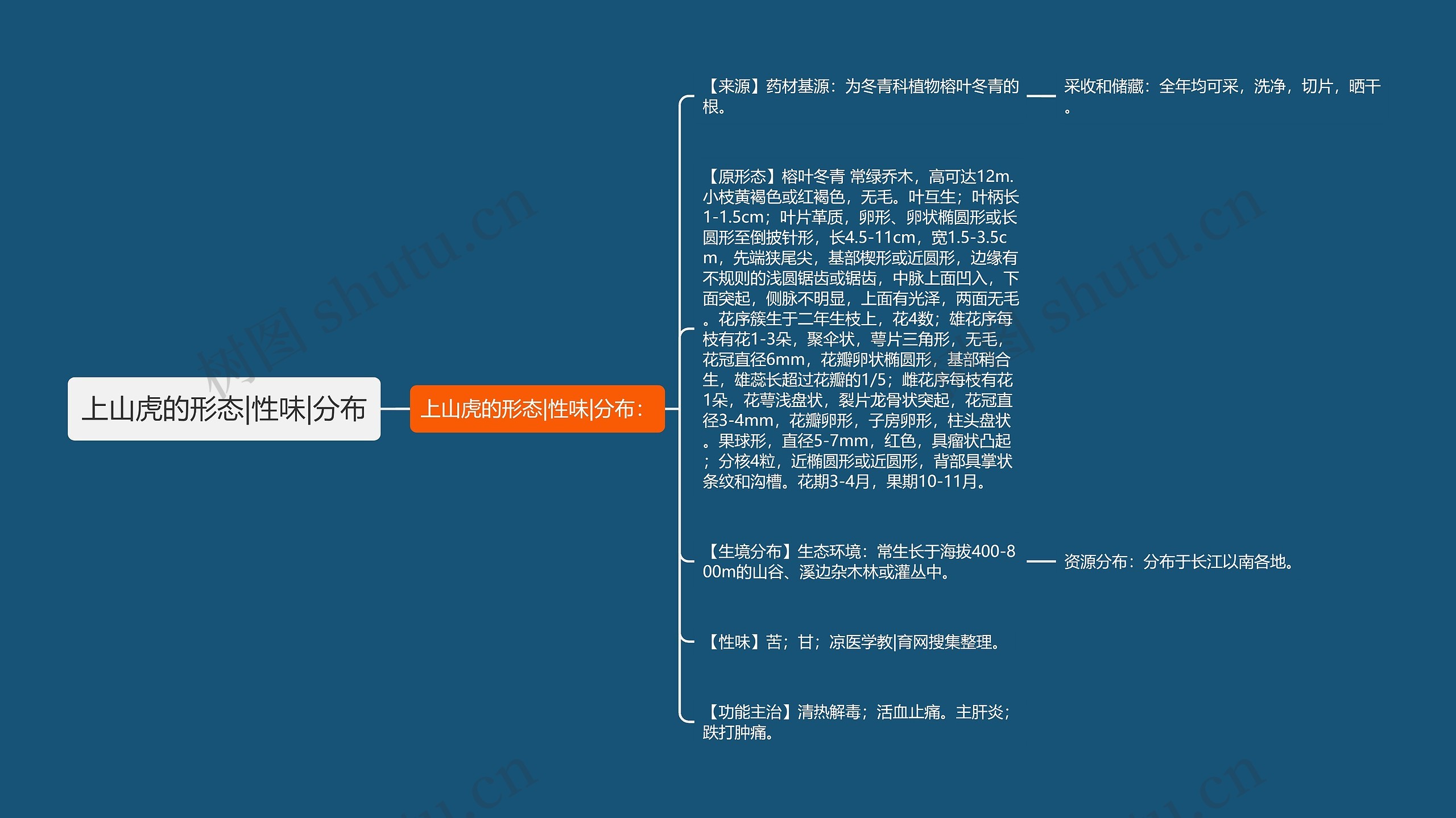 上山虎的形态|性味|分布思维导图