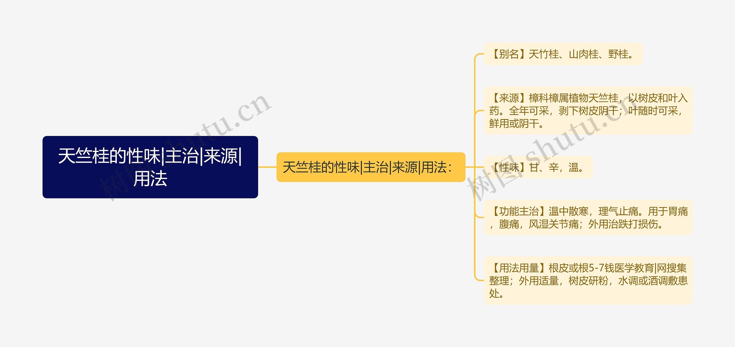 天竺桂的性味|主治|来源|用法思维导图