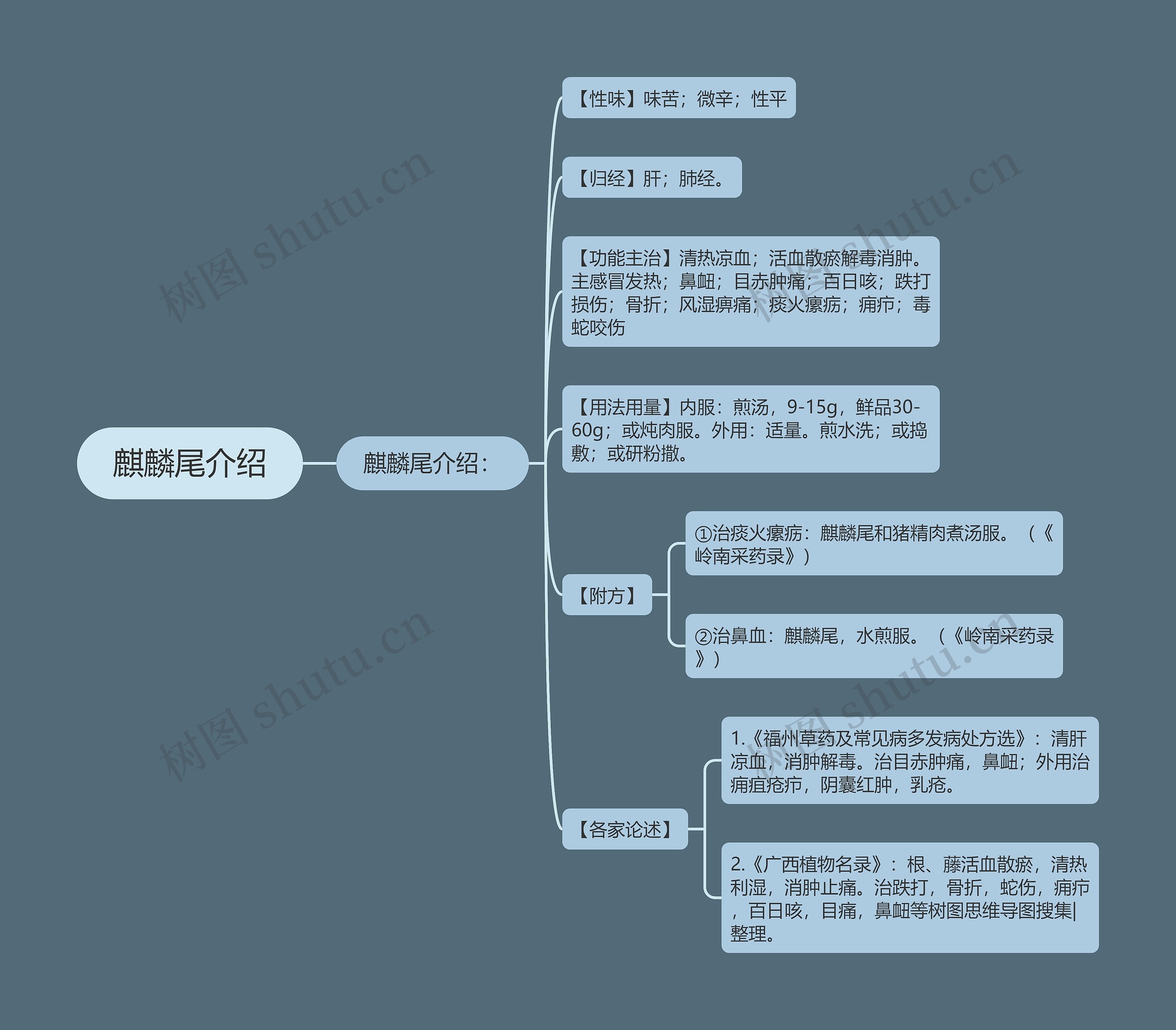 麒麟尾介绍 麒麟尾介绍