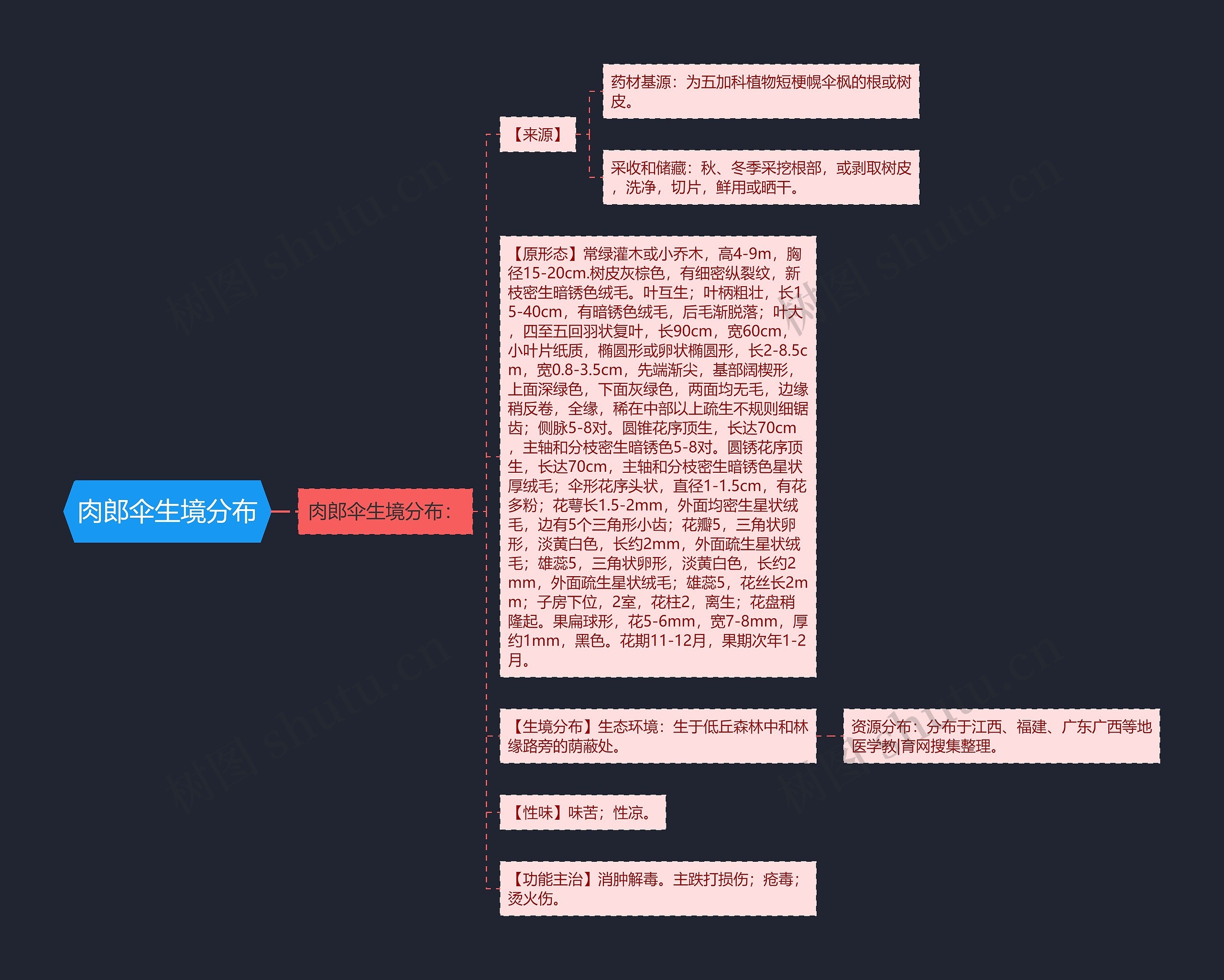 肉郎伞生境分布思维导图