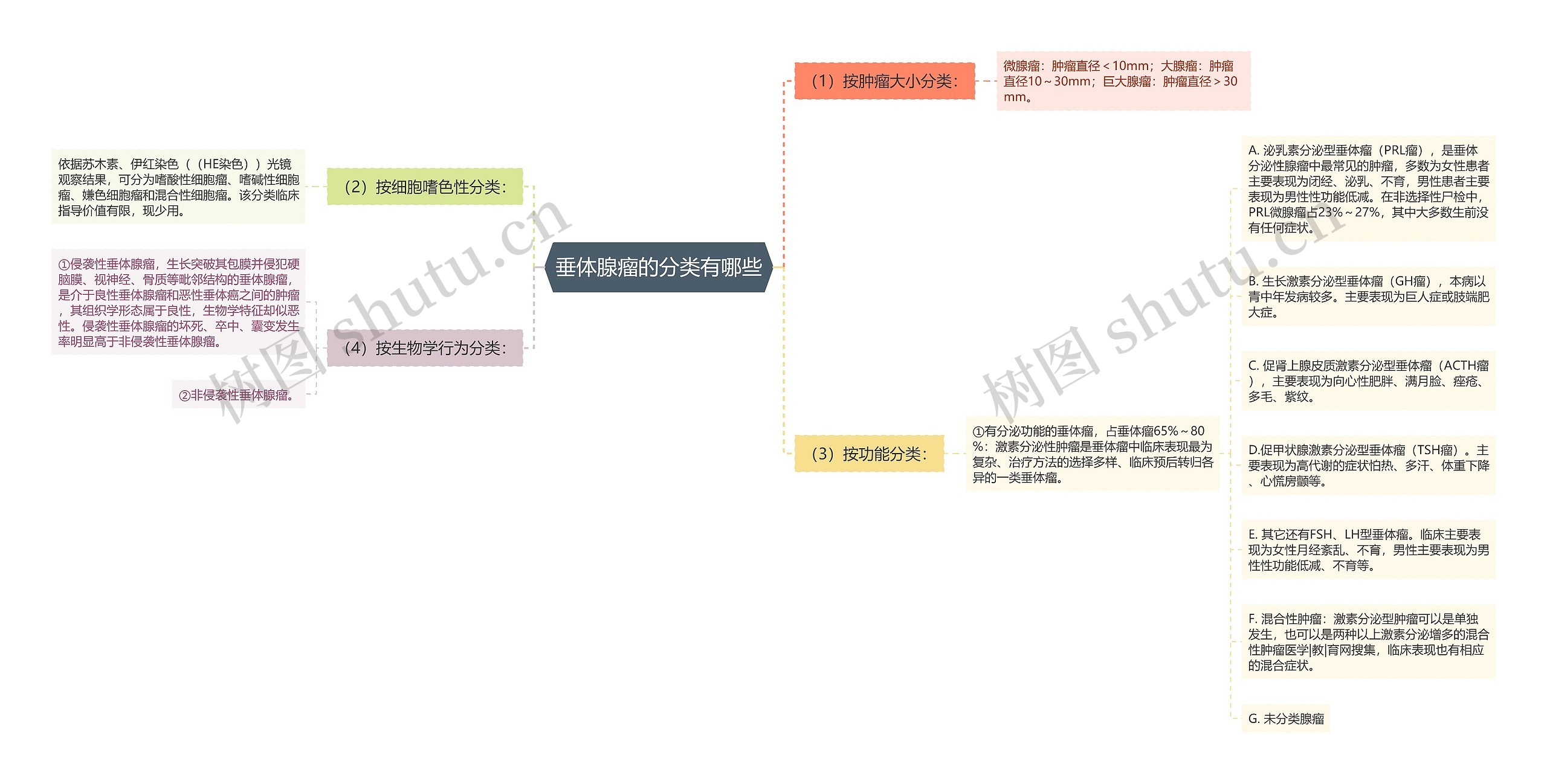 垂体腺瘤的分类有哪些思维导图