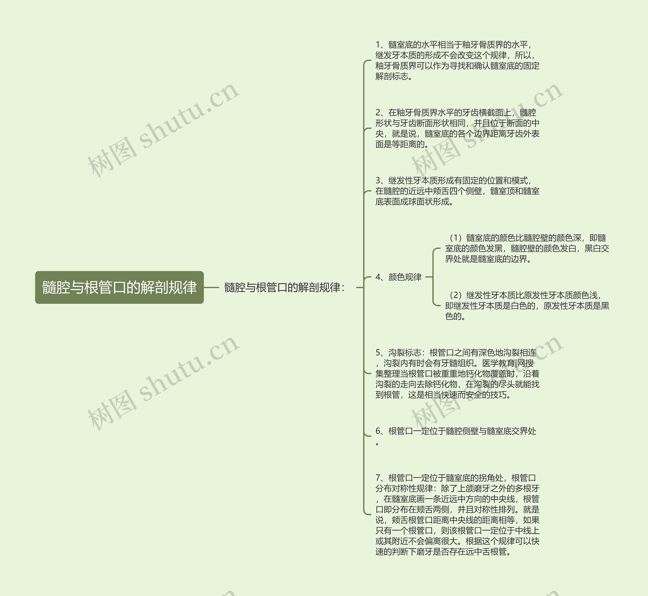 髓腔与根管口的解剖规律思维导图