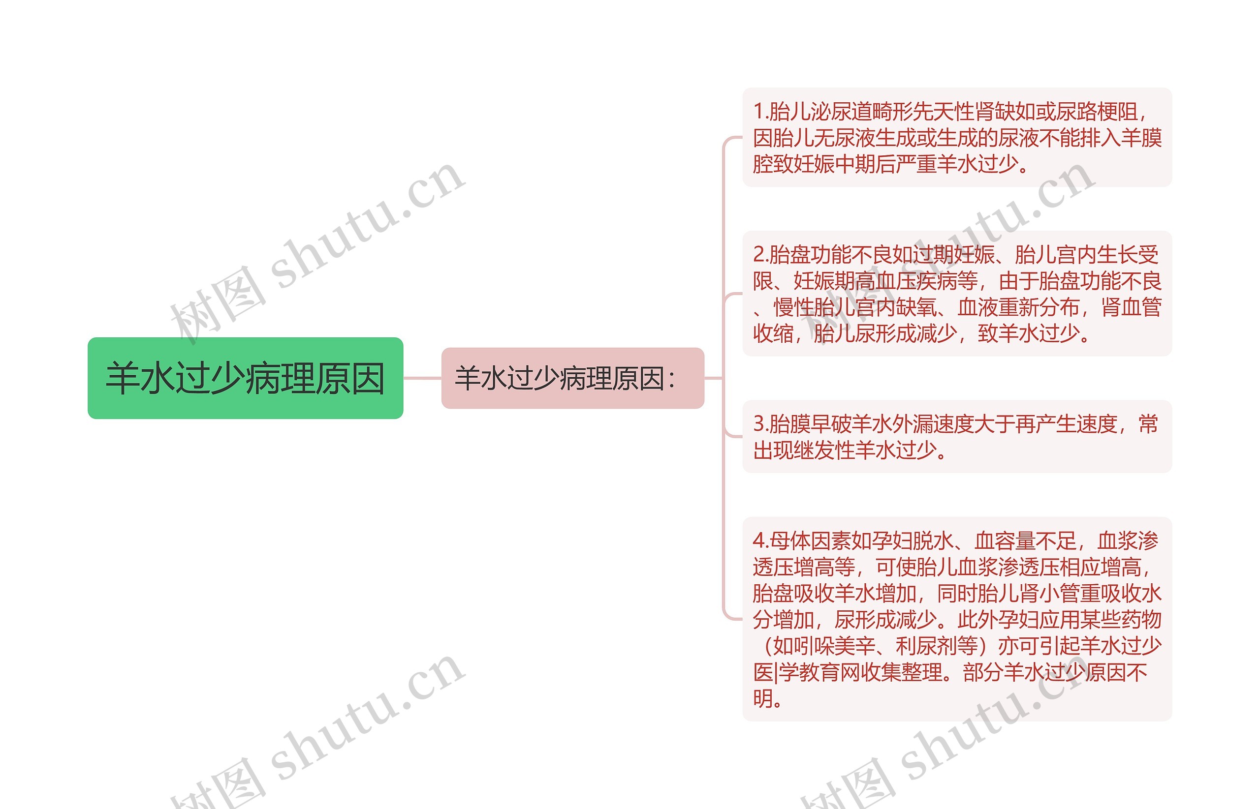 羊水过少病理原因