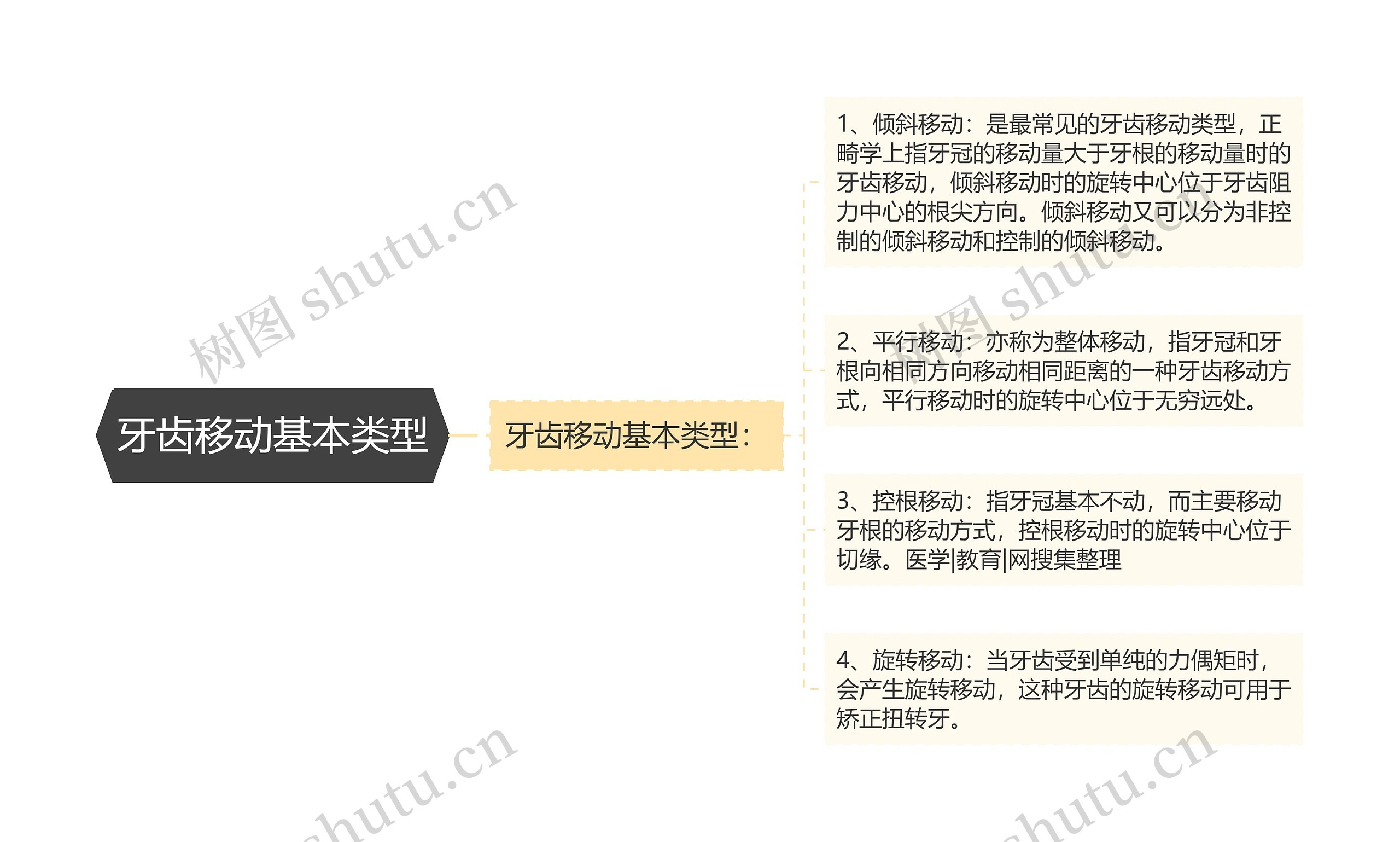 牙齿移动基本类型思维导图