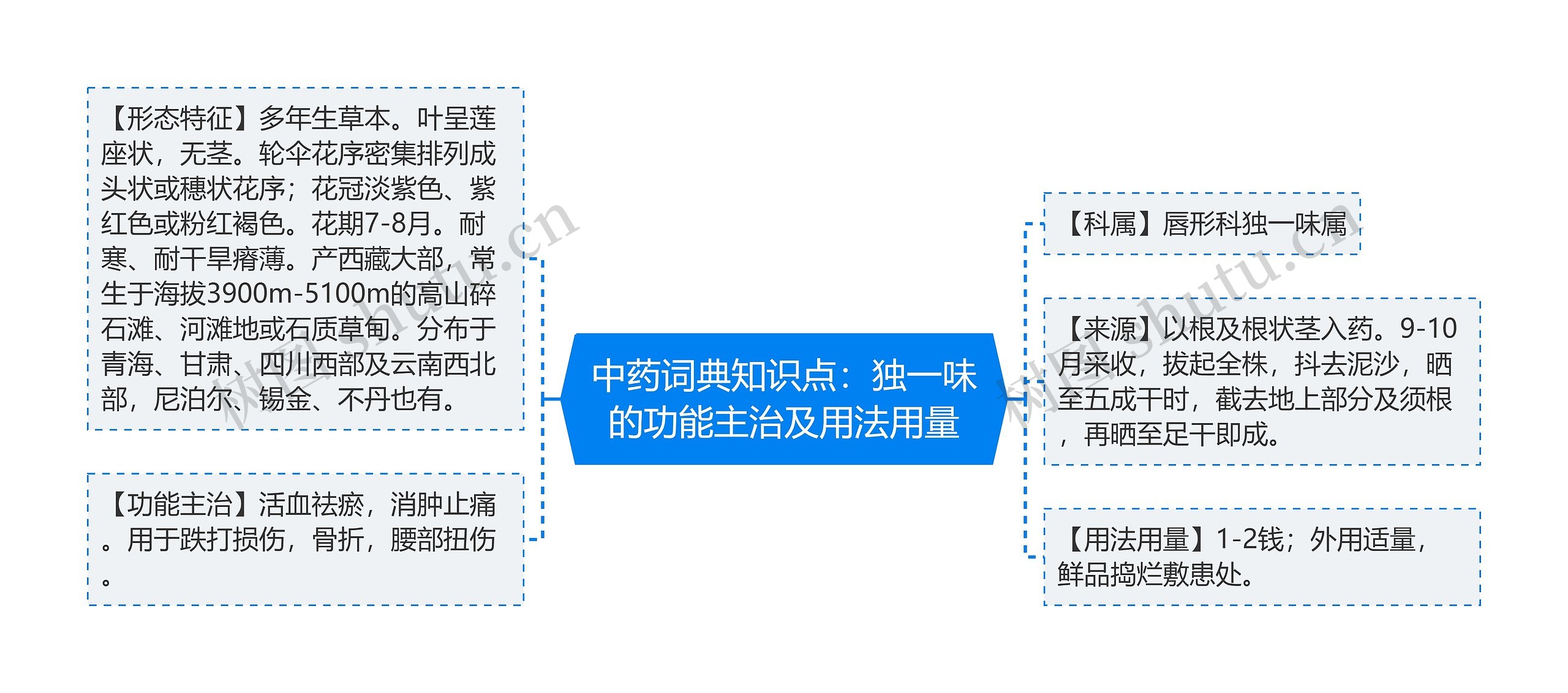 中药词典知识点：独一味的功能主治及用法用量