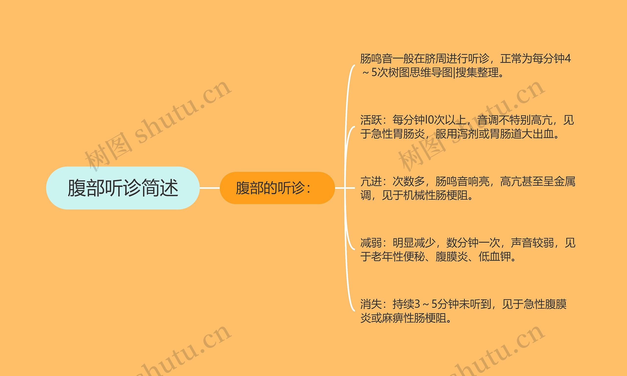 腹部听诊简述思维导图