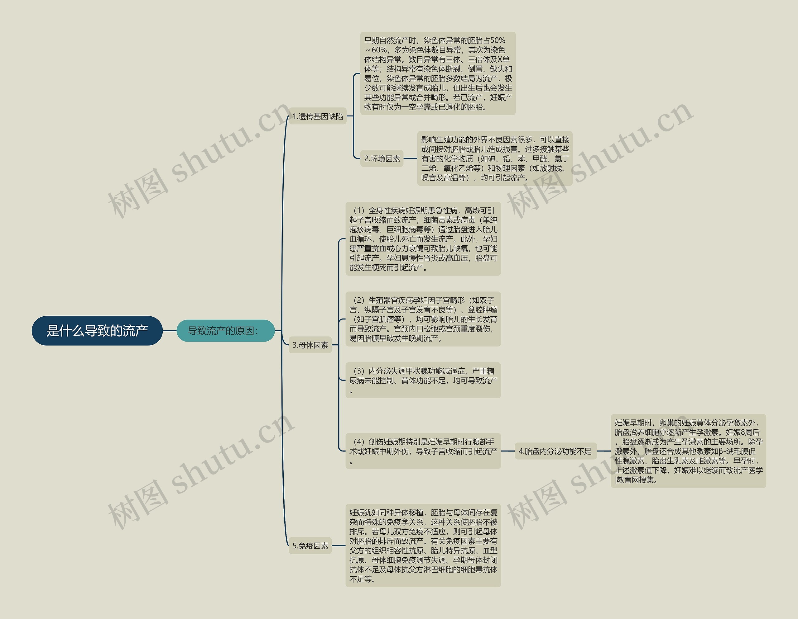 是什么导致的流产思维导图
