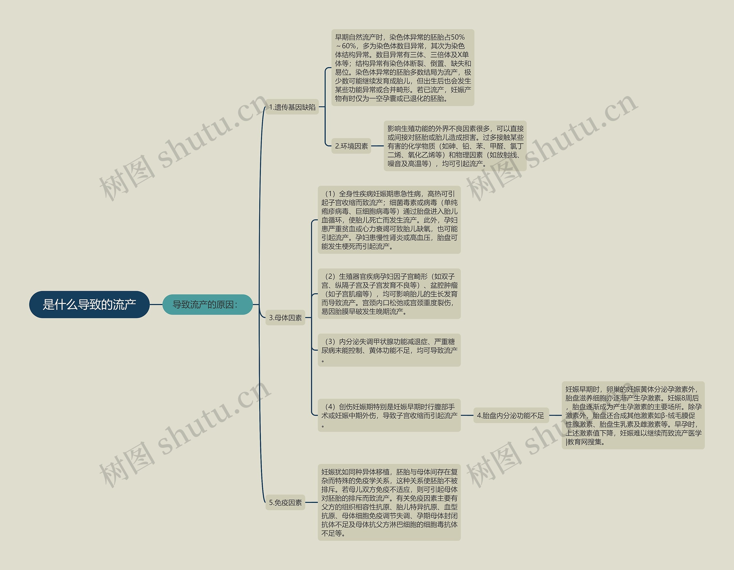 是什么导致的流产 是什么导致的流产