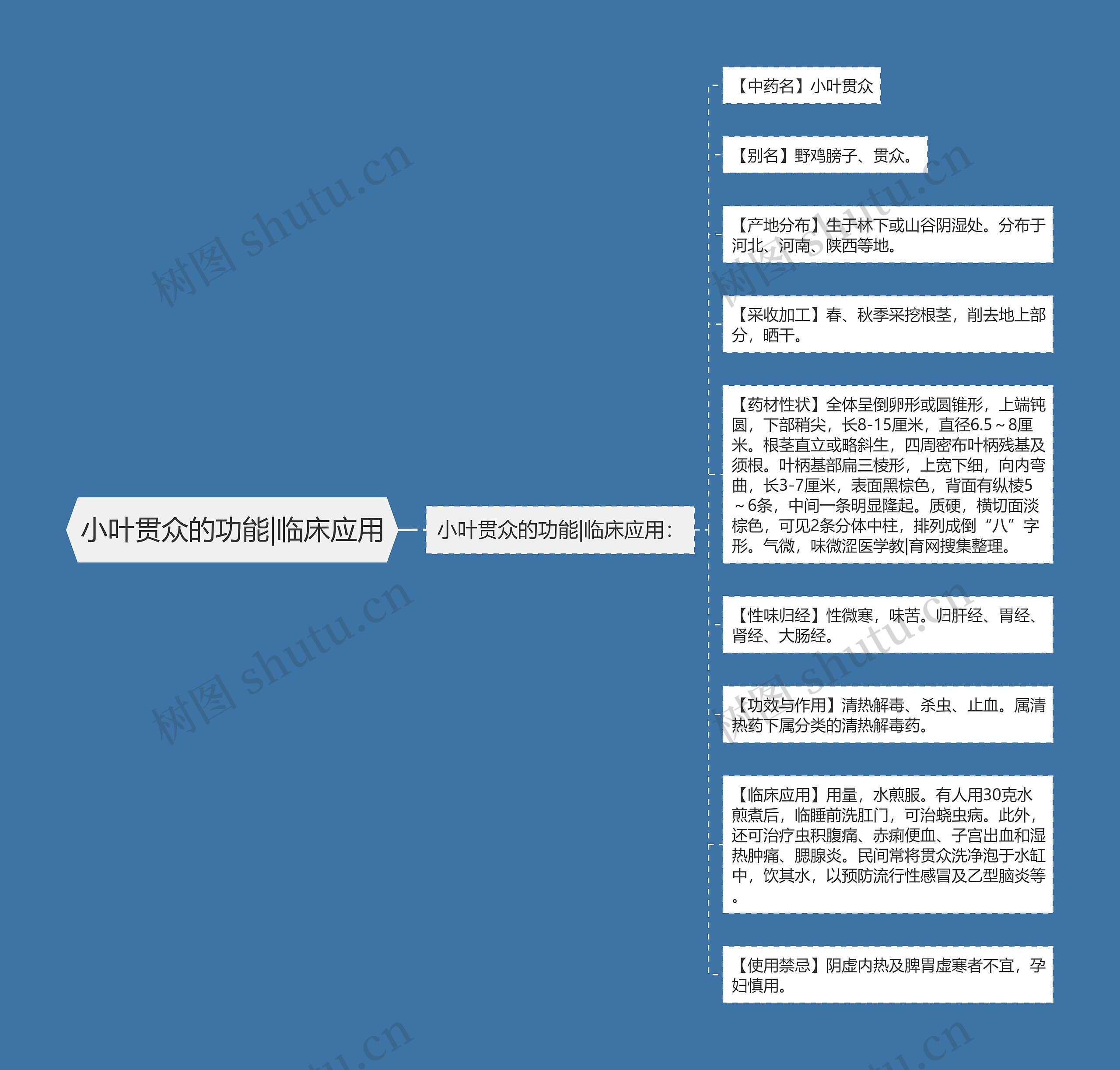 小叶贯众的功能|临床应用思维导图