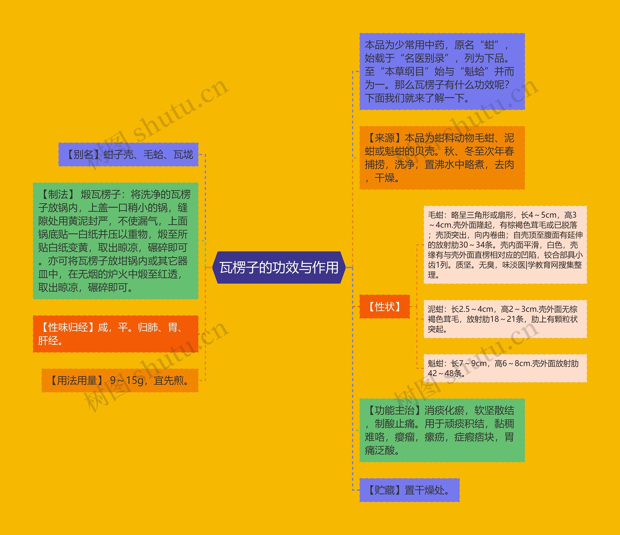 瓦楞子的功效与作用思维导图