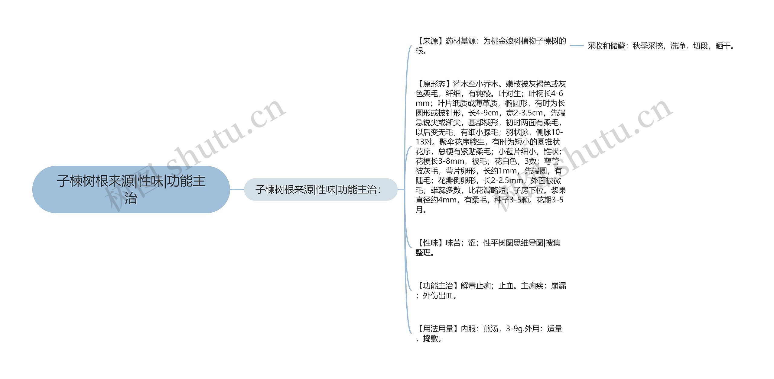 子楝树根来源|性味|功能主治思维导图