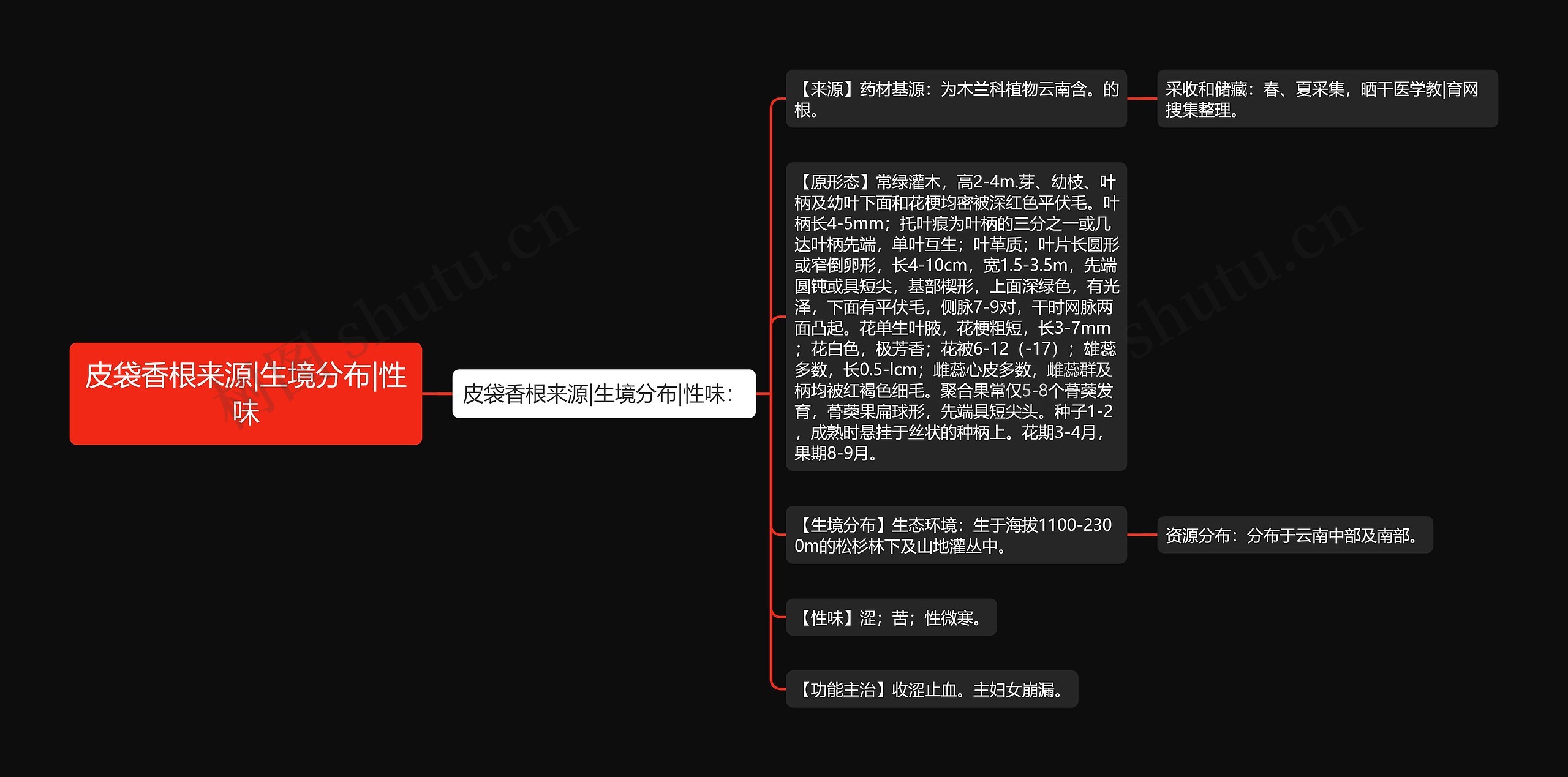 皮袋香根来源|生境分布|性味思维导图