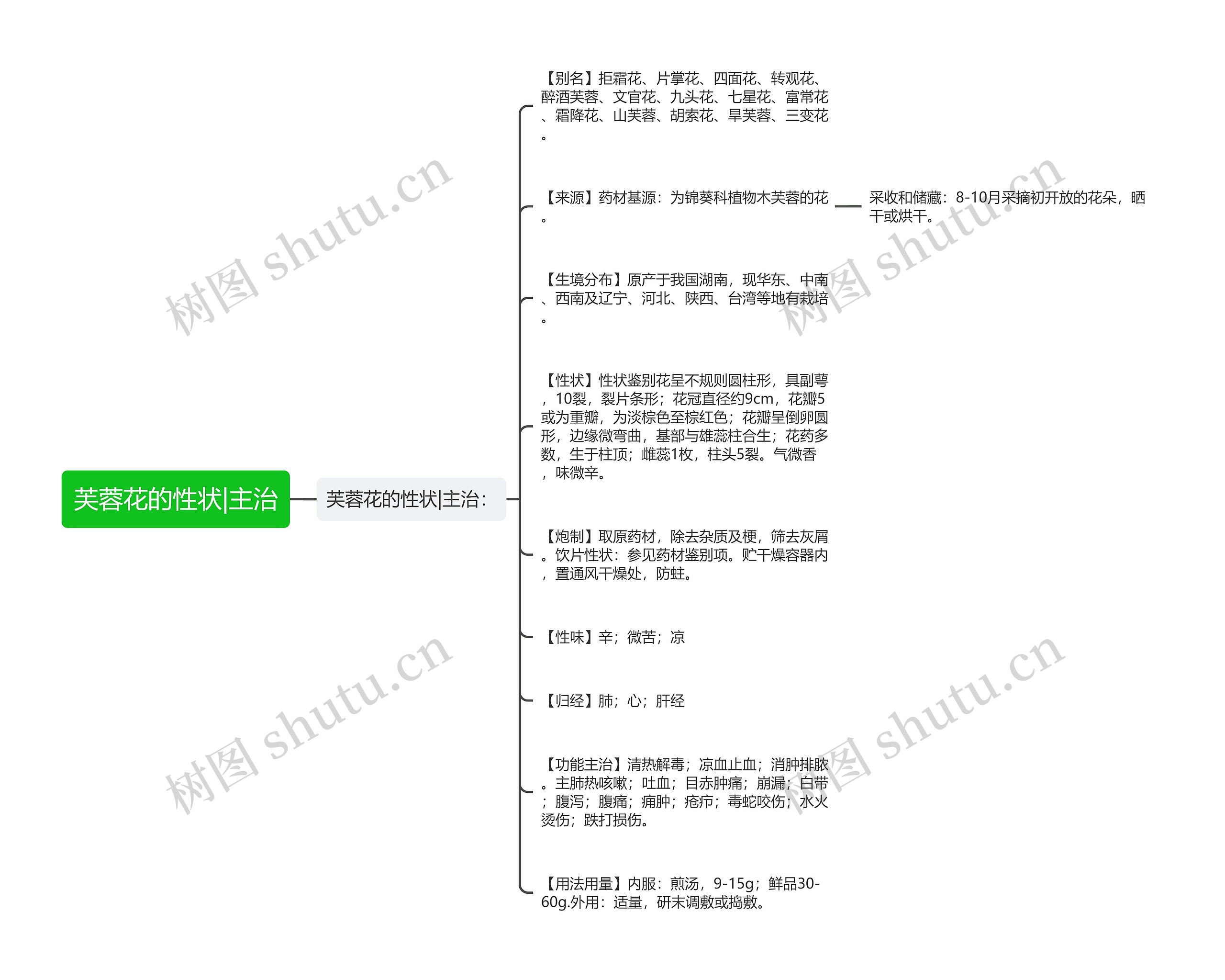 芙蓉花的性状|主治思维导图