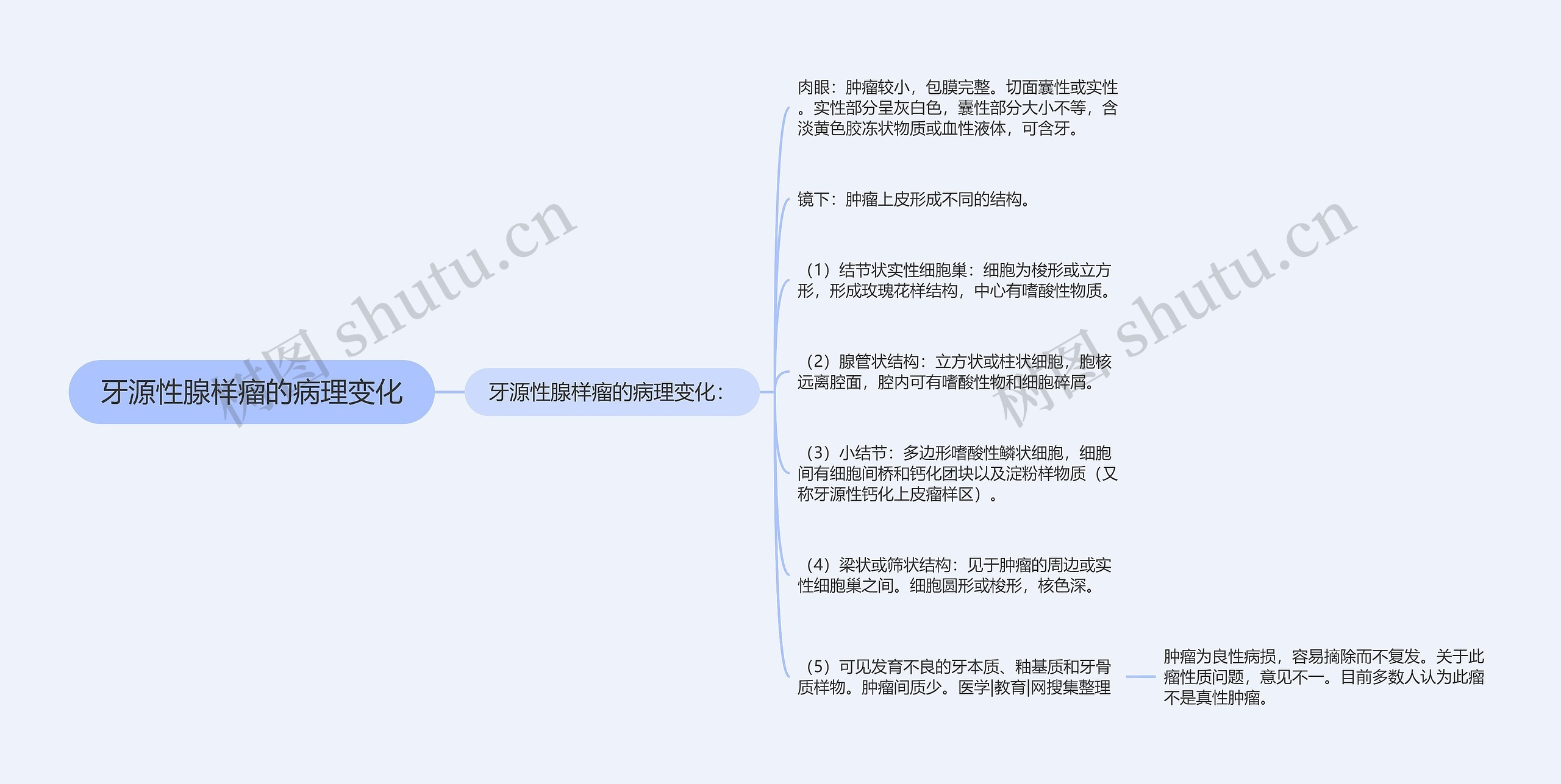 牙源性腺样瘤的病理变化思维导图