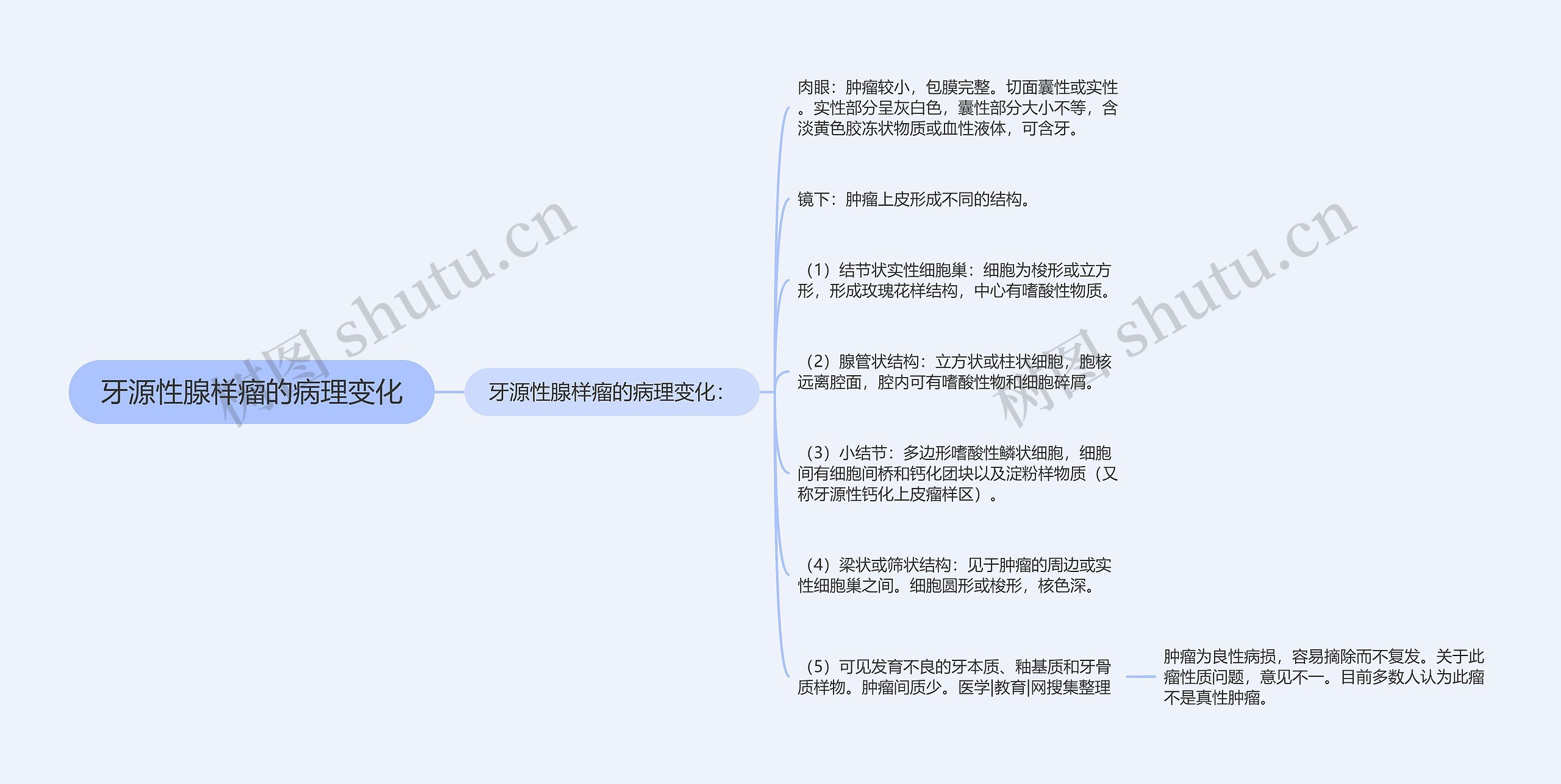 牙源性腺样瘤的病理变化 牙源性腺样瘤的病理变化