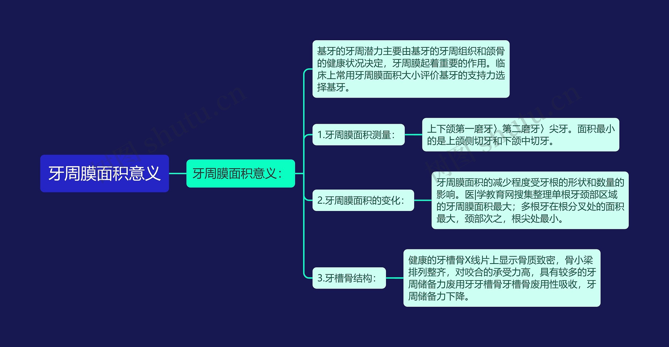 牙周膜面积意义 牙周膜面积意义