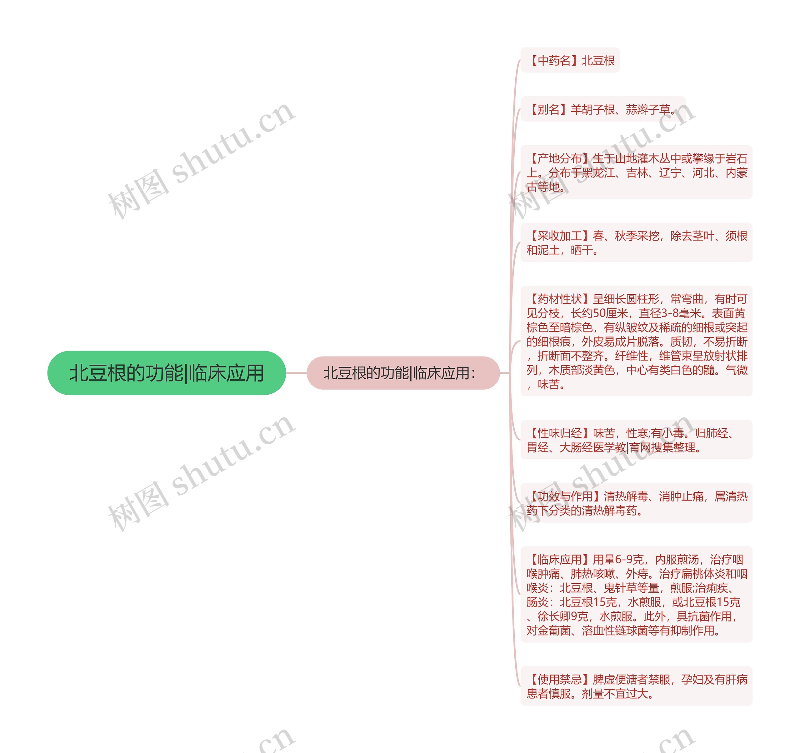 北豆根的功能|临床应用思维导图