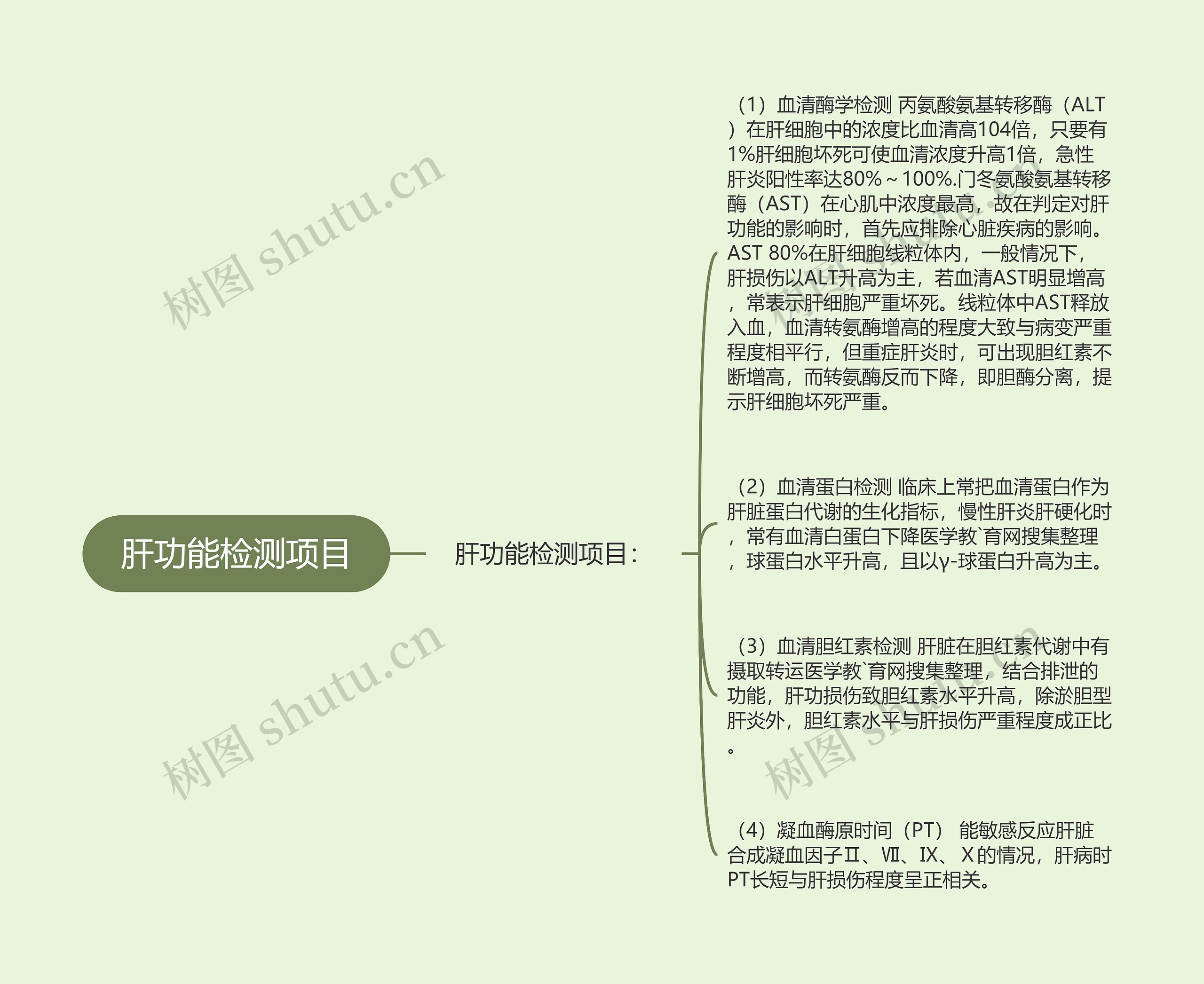 肝功能检测项目 肝功能检测项目
