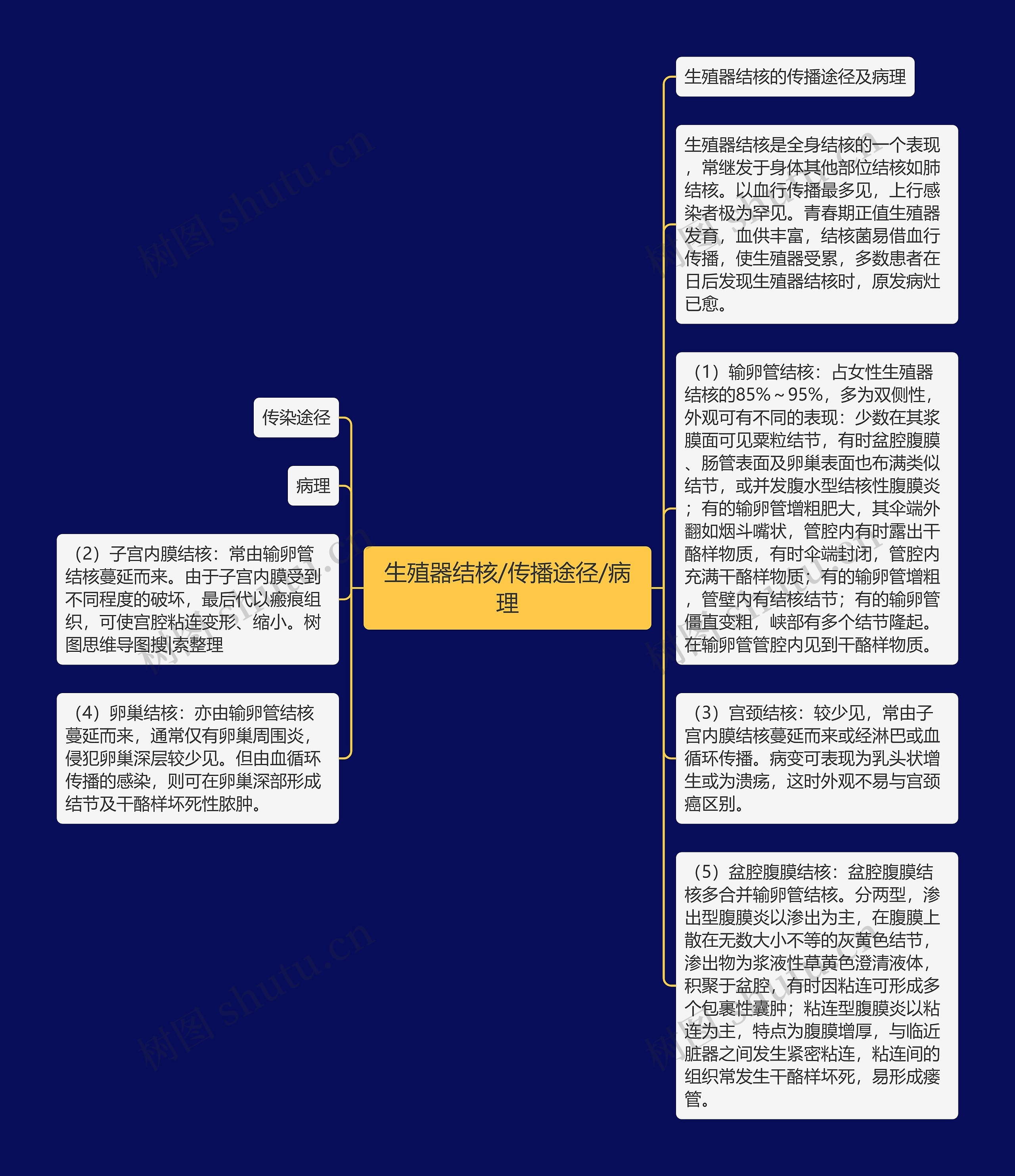 生殖器结核/传播途径/病理思维导图