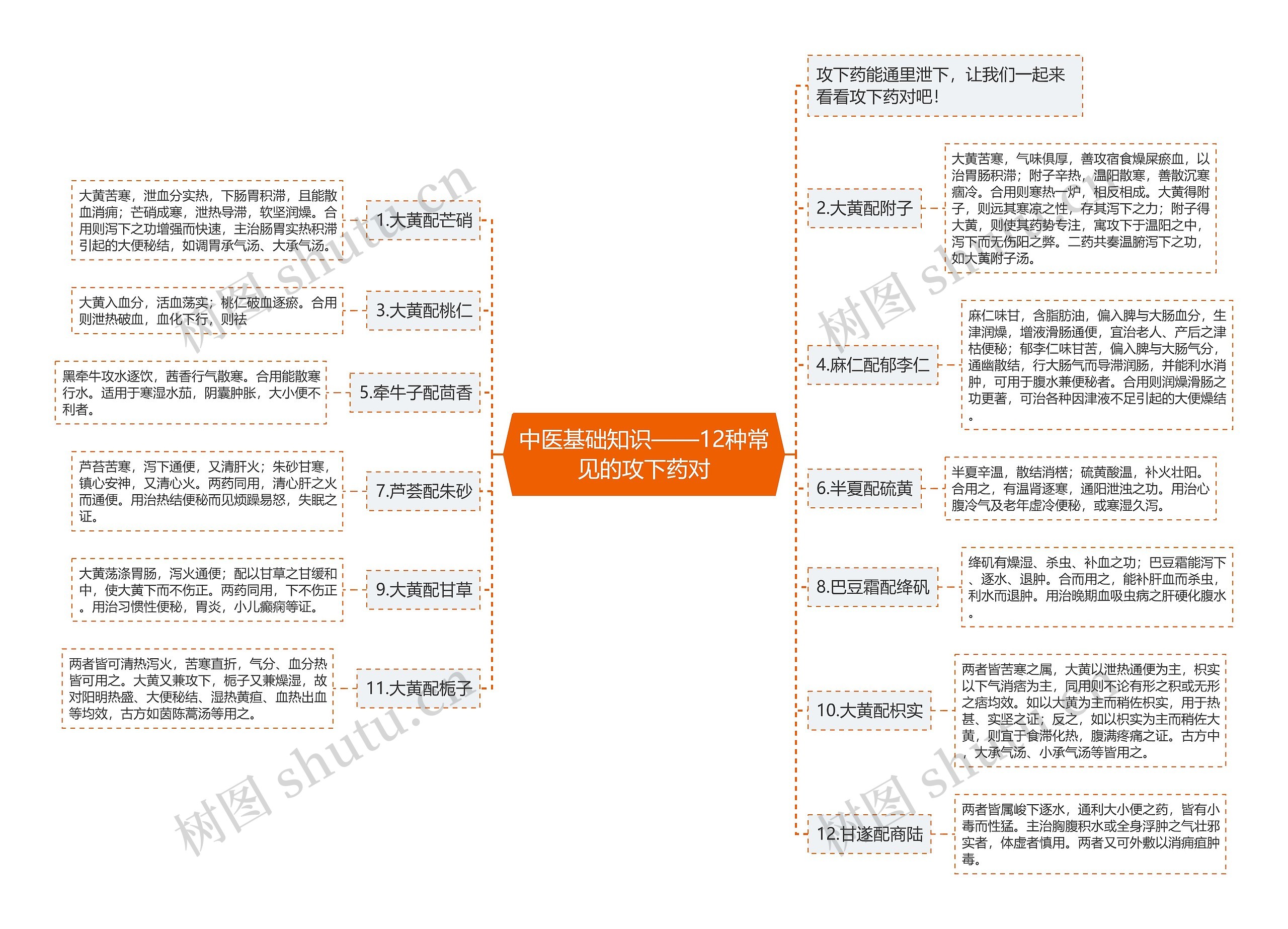 中医基础知识——12种常见的攻下药对思维导图