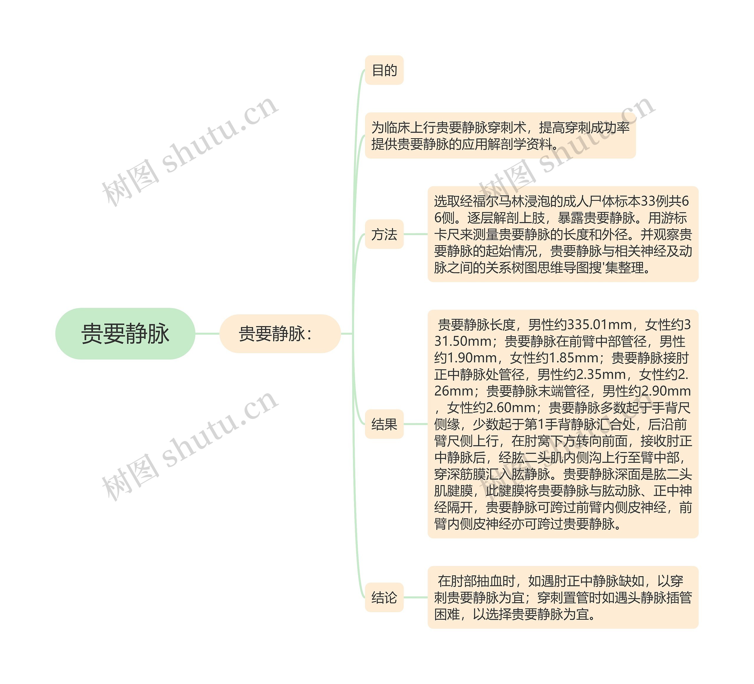 贵要静脉思维导图