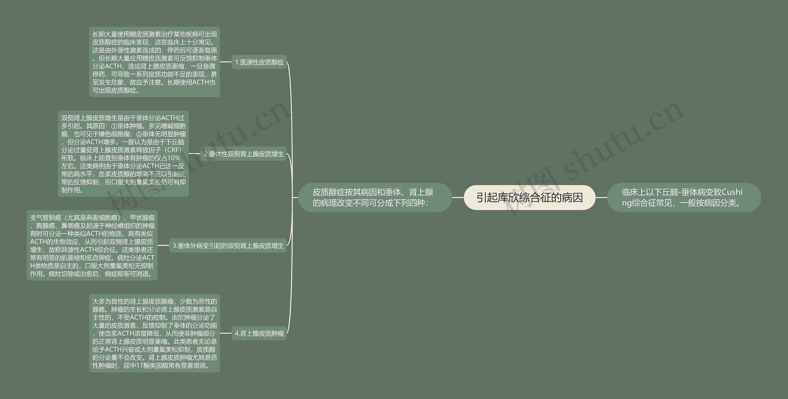 引起库欣综合征的病因思维导图