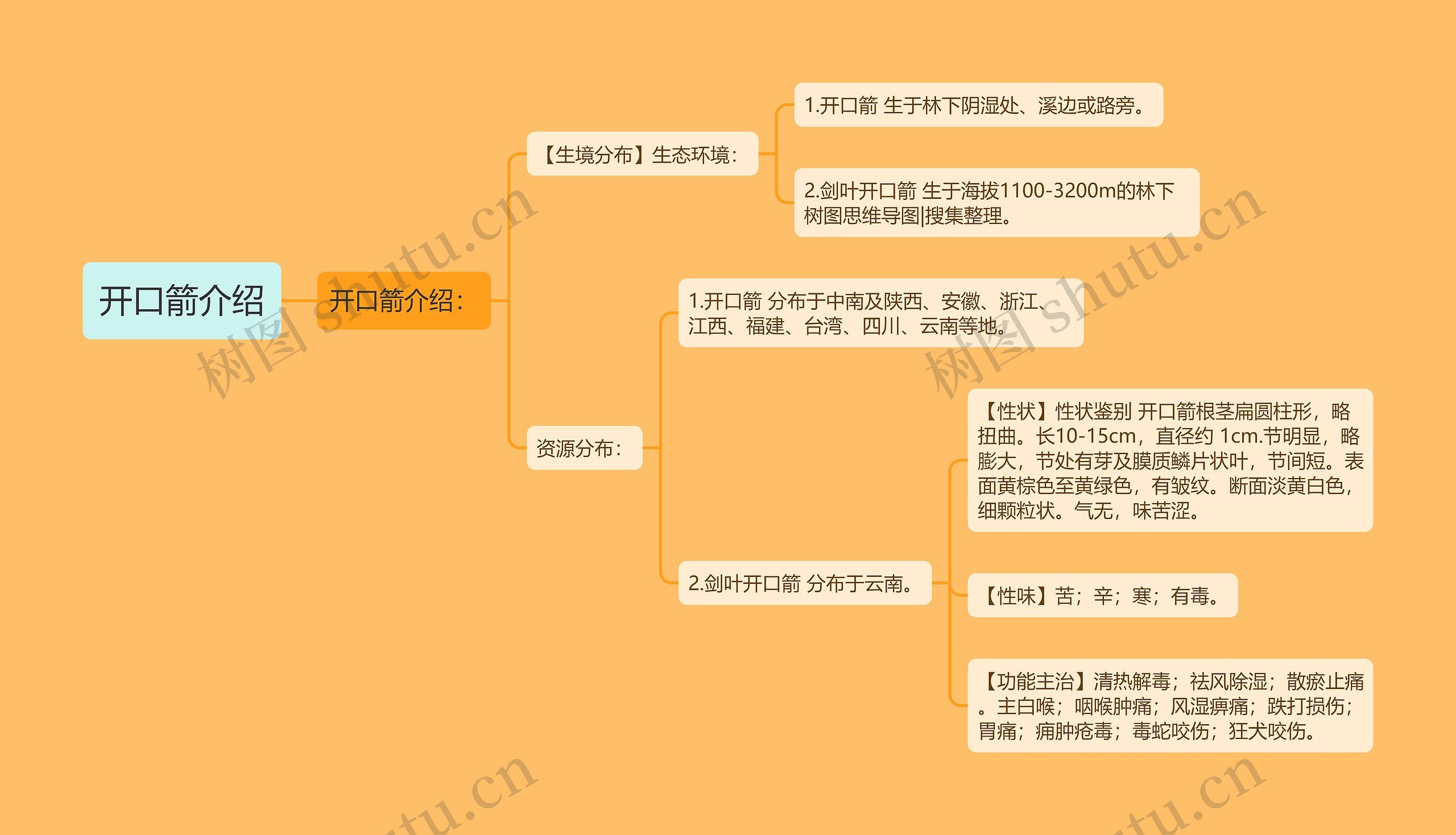 开口箭介绍思维导图