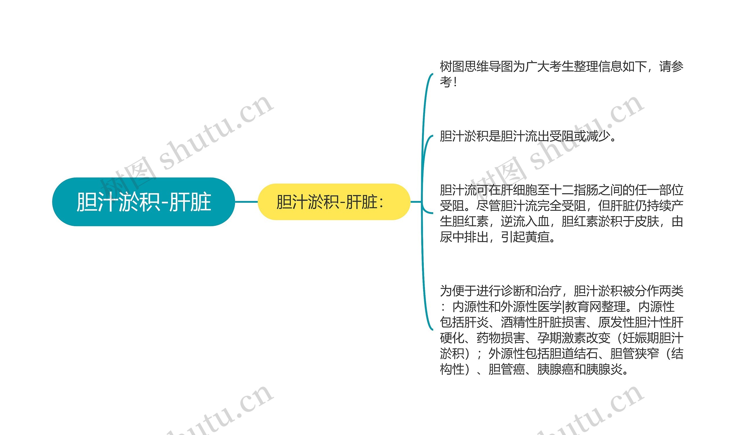 胆汁淤积-肝脏思维导图