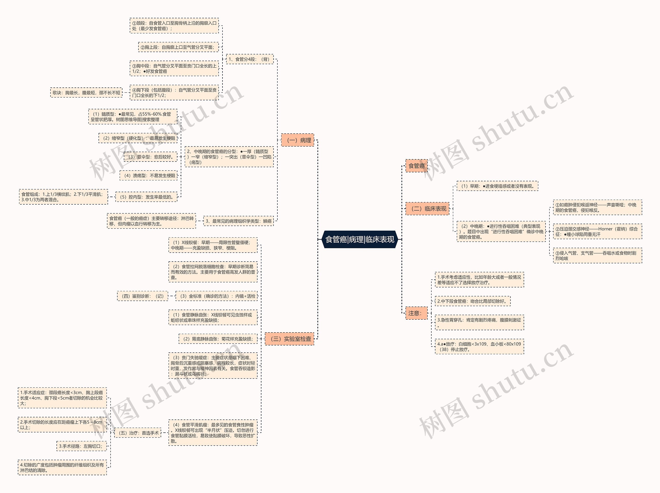 食管癌|病理|临床表现 食管癌|病理|临床表现