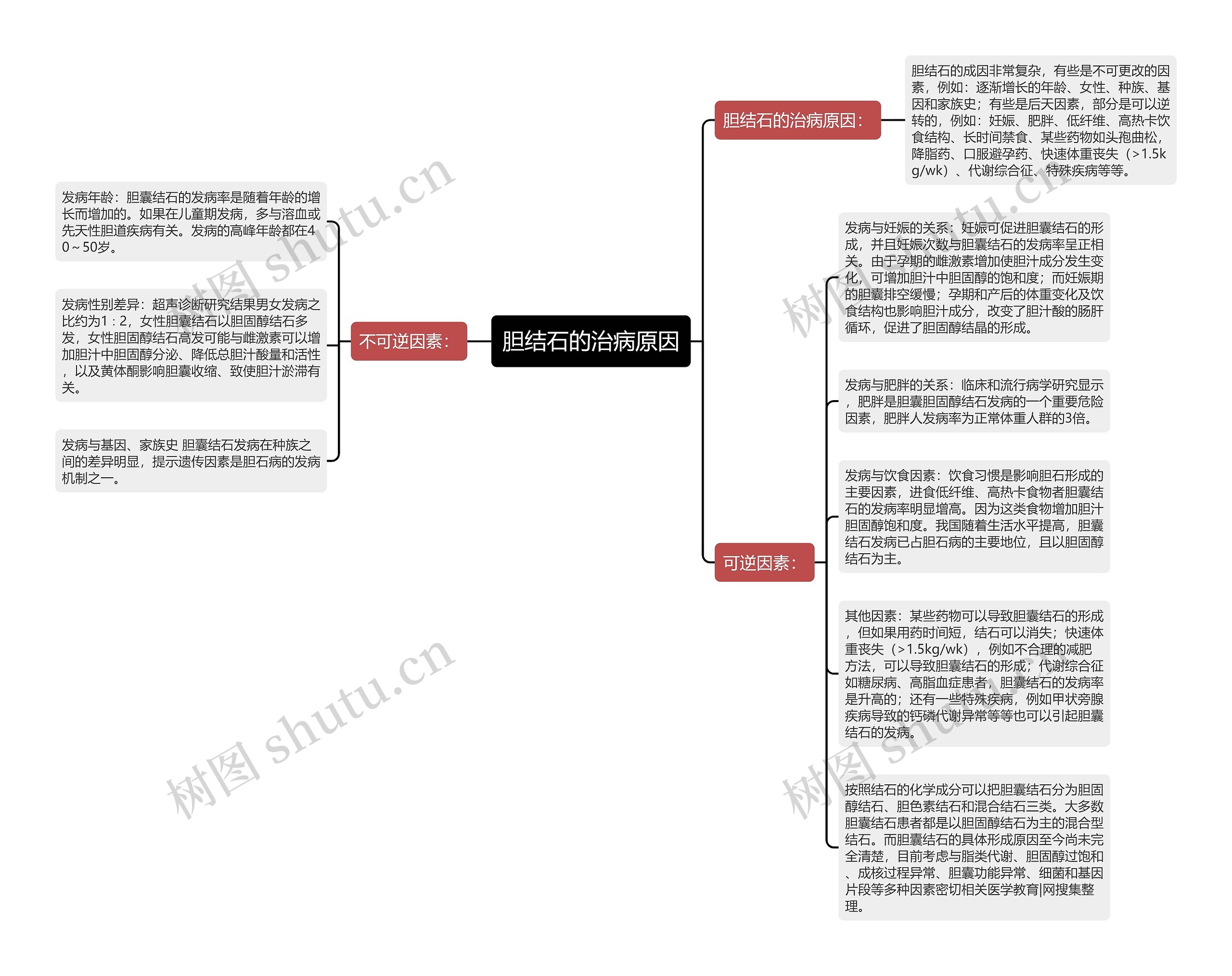 胆结石的治病原因思维导图