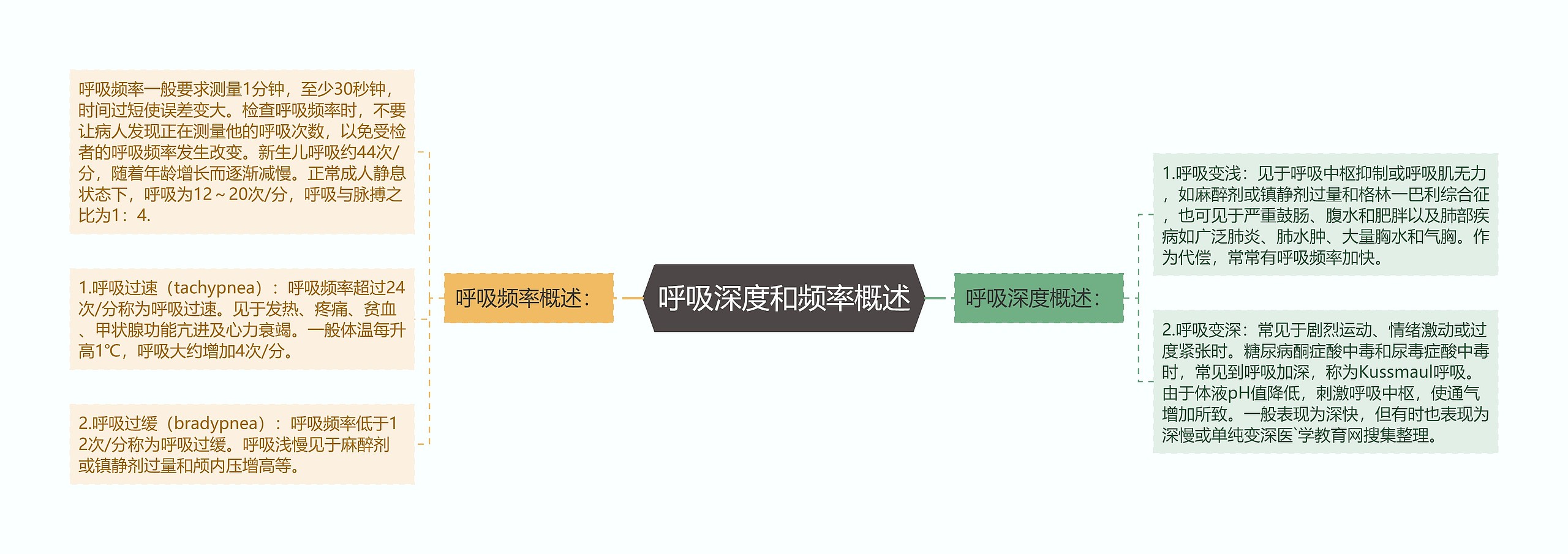 呼吸深度和频率概述 呼吸深度和频率概述