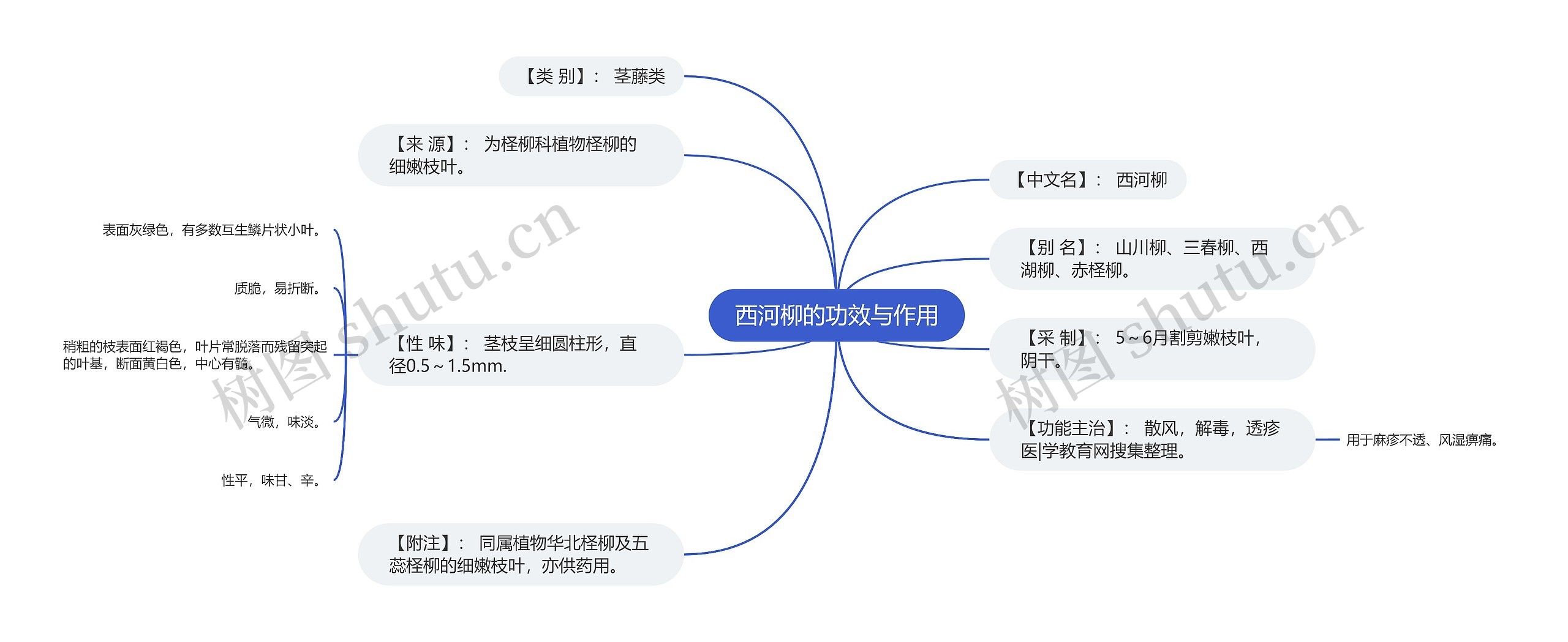 西河柳的功效与作用思维导图