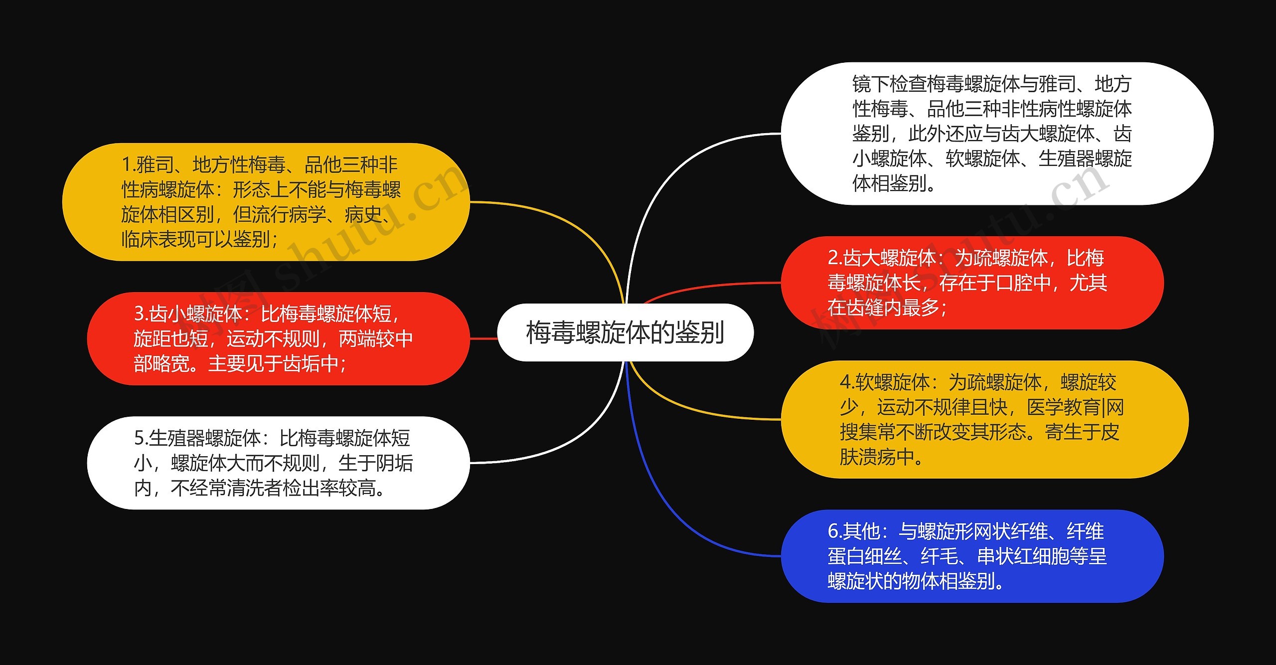 梅毒螺旋体的鉴别思维导图