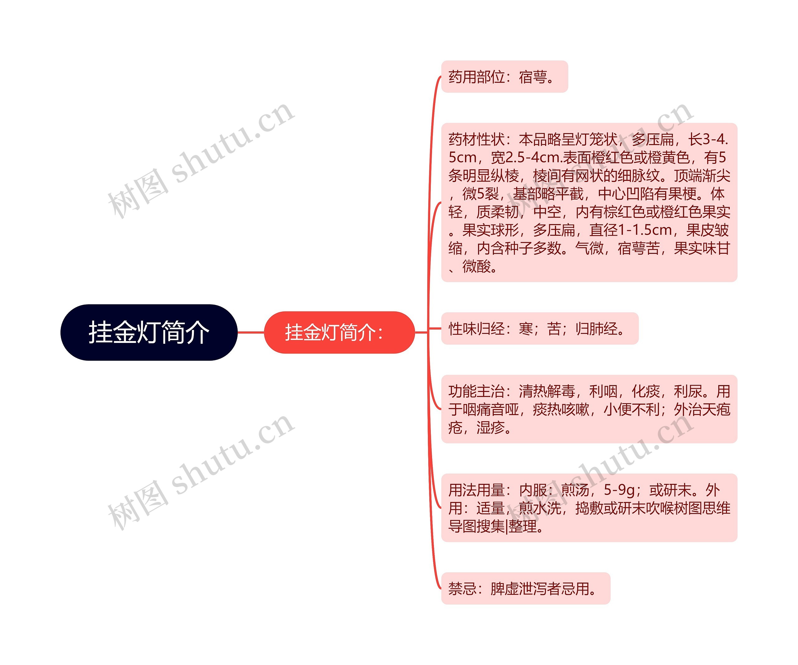 挂金灯简介 挂金灯简介