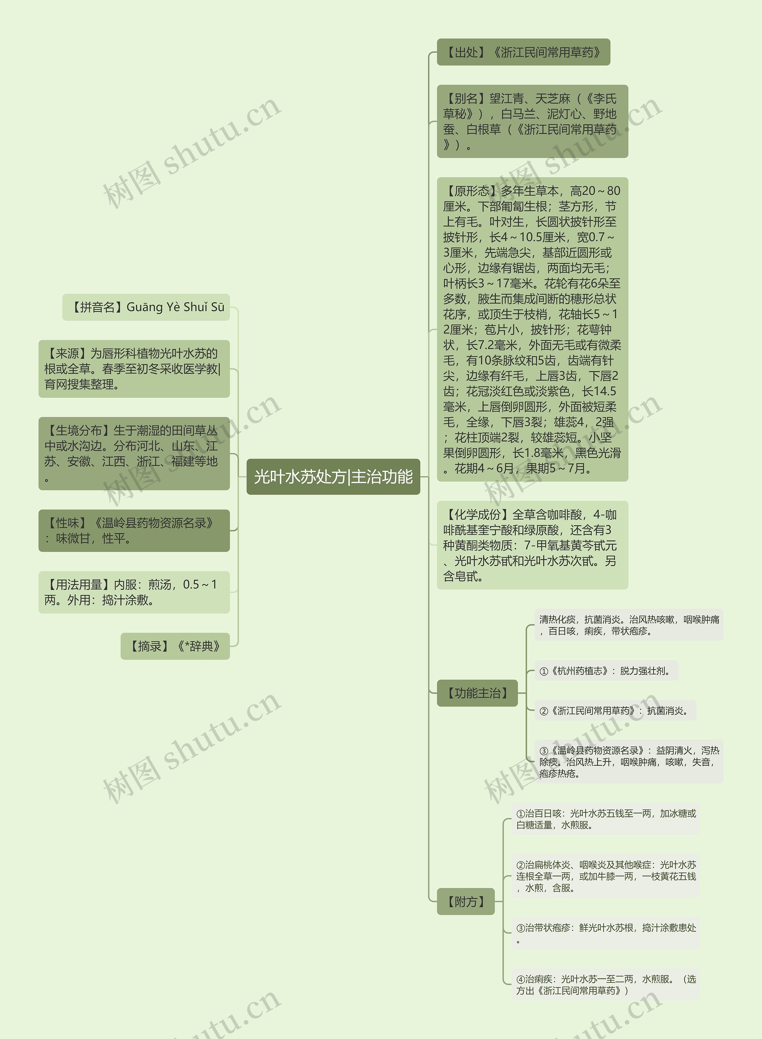 光叶水苏处方|主治功能思维导图