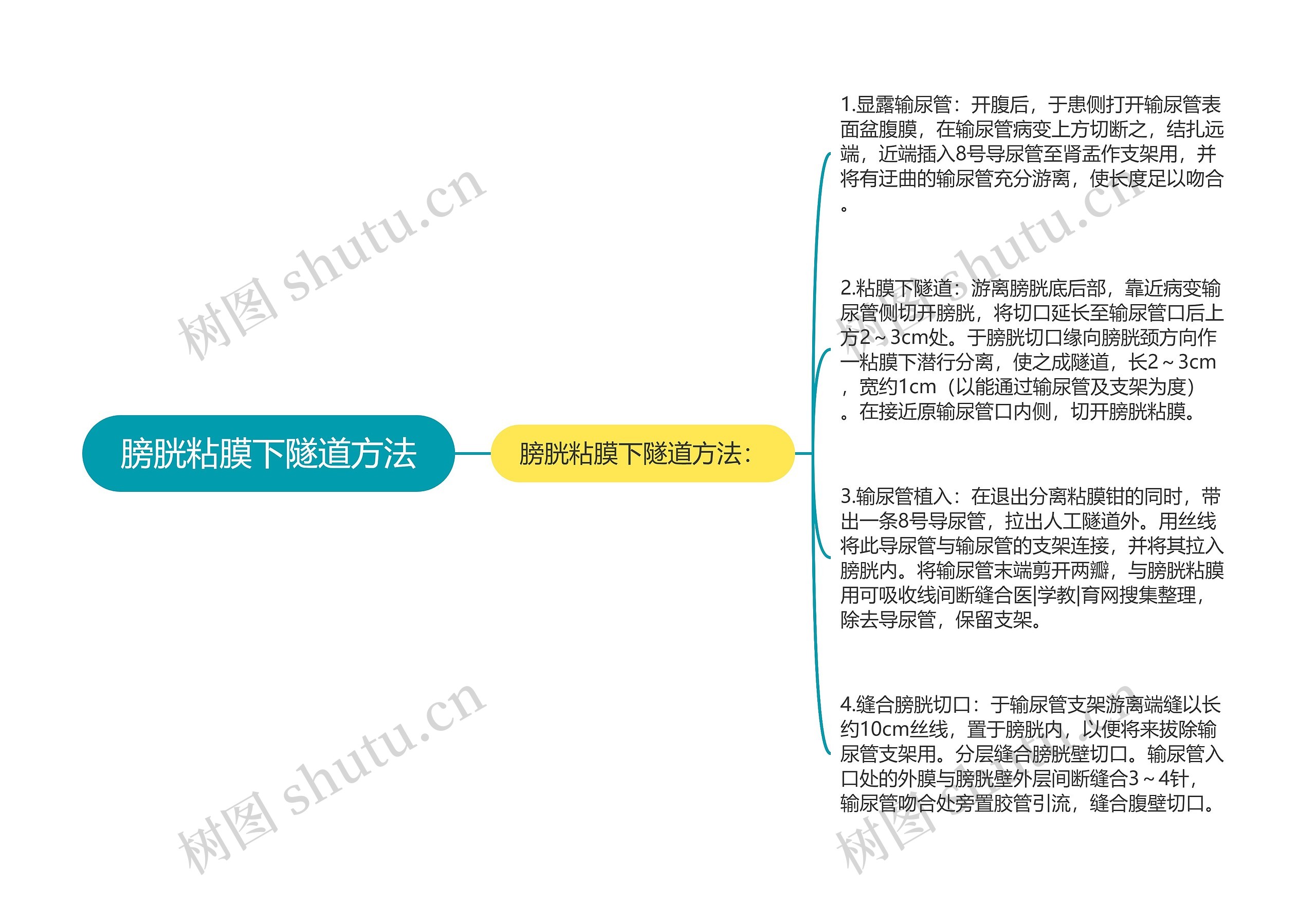 膀胱粘膜下隧道方法