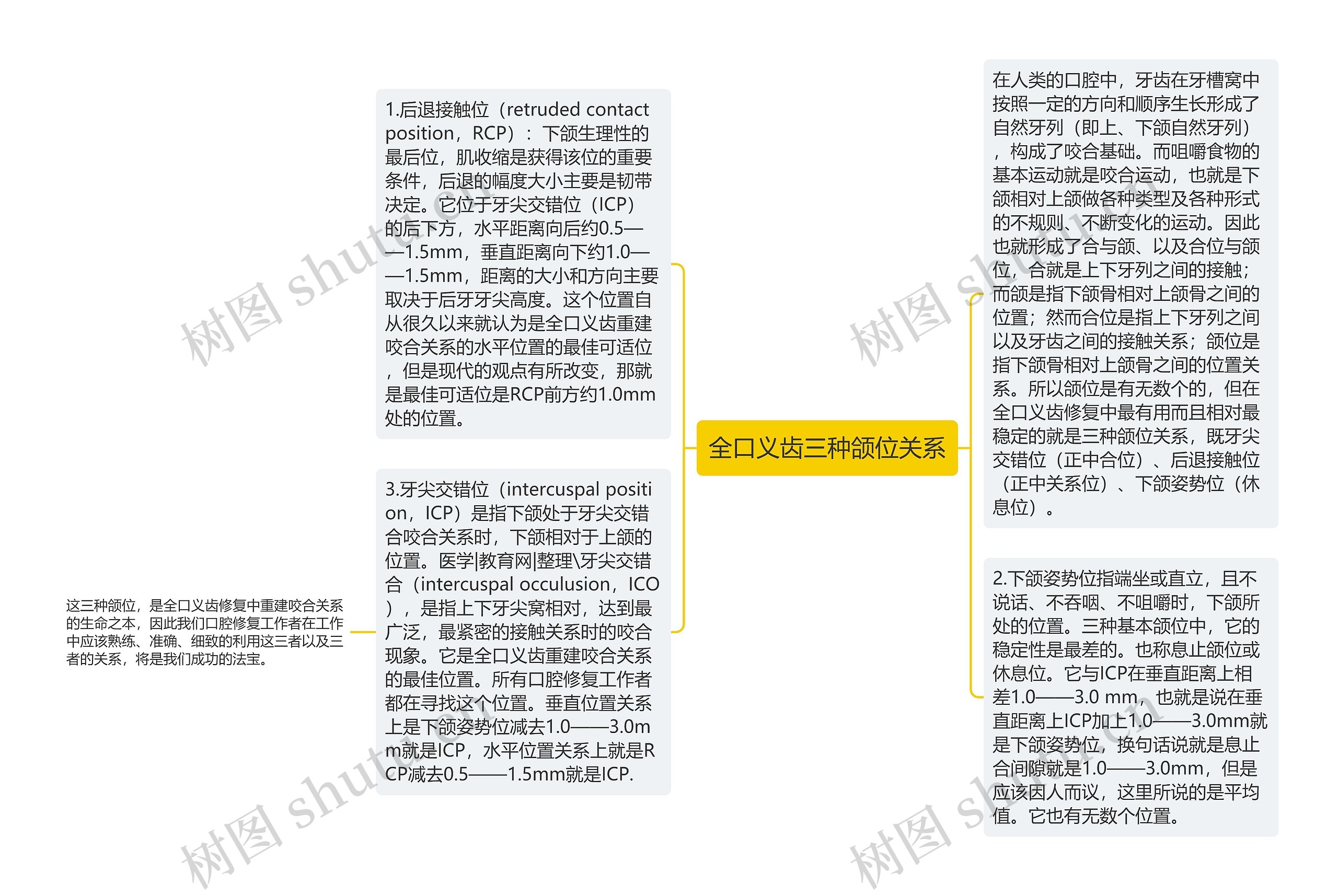全口义齿三种颌位关系