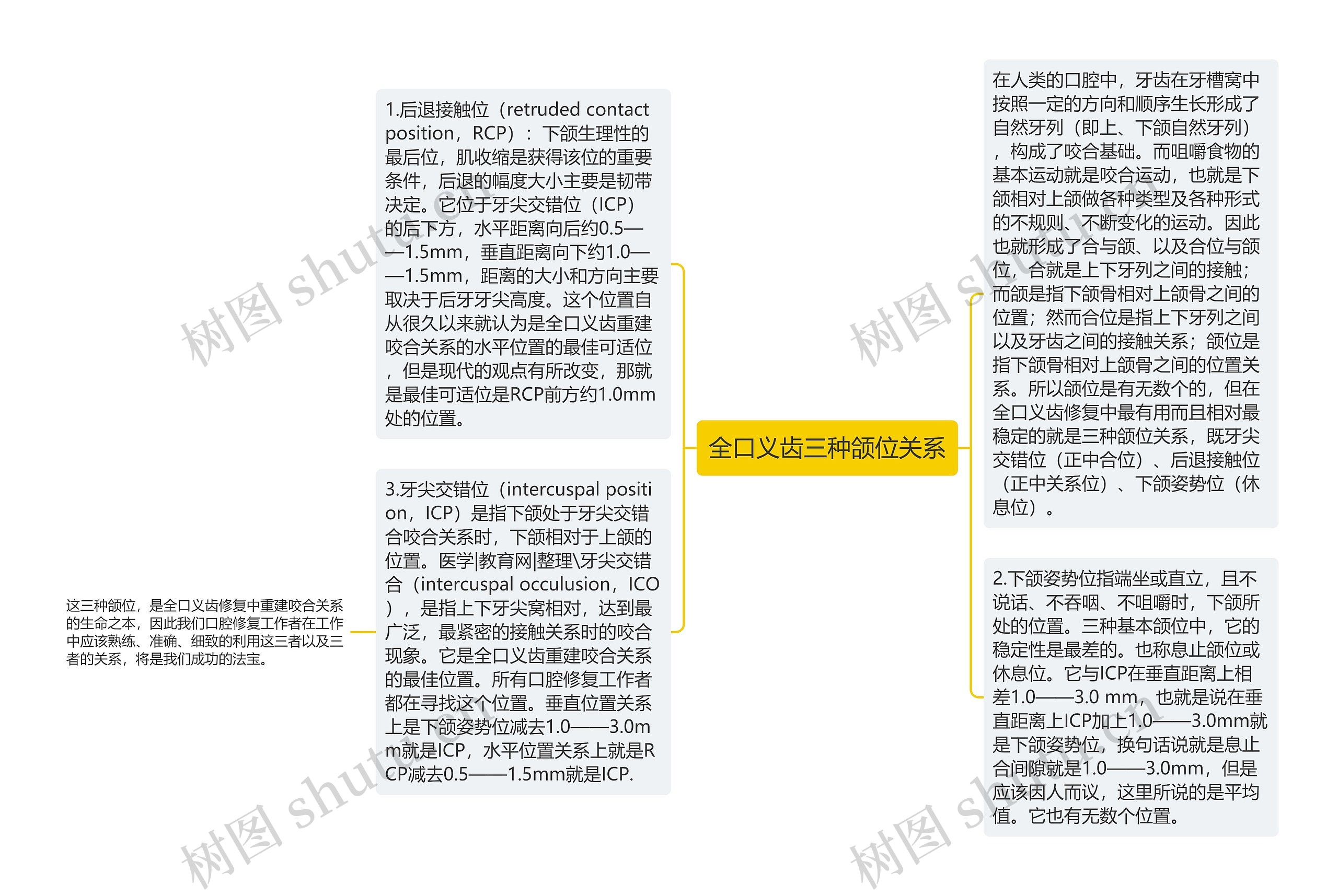 全口义齿三种颌位关系