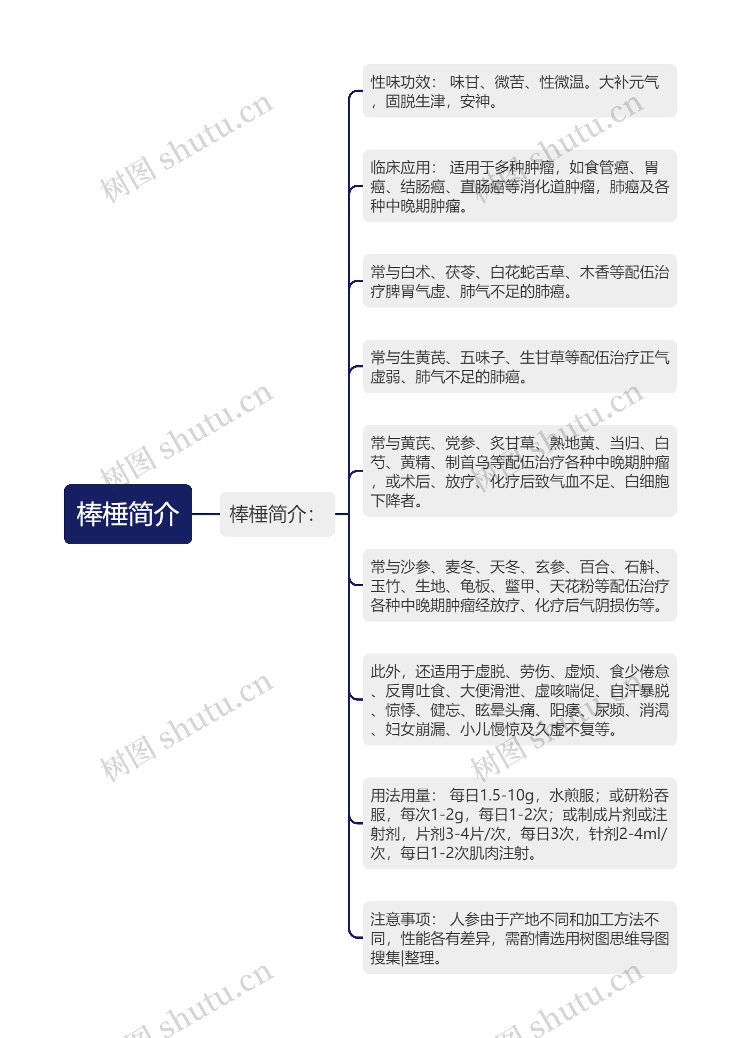 棒棰简介 棒棰简介